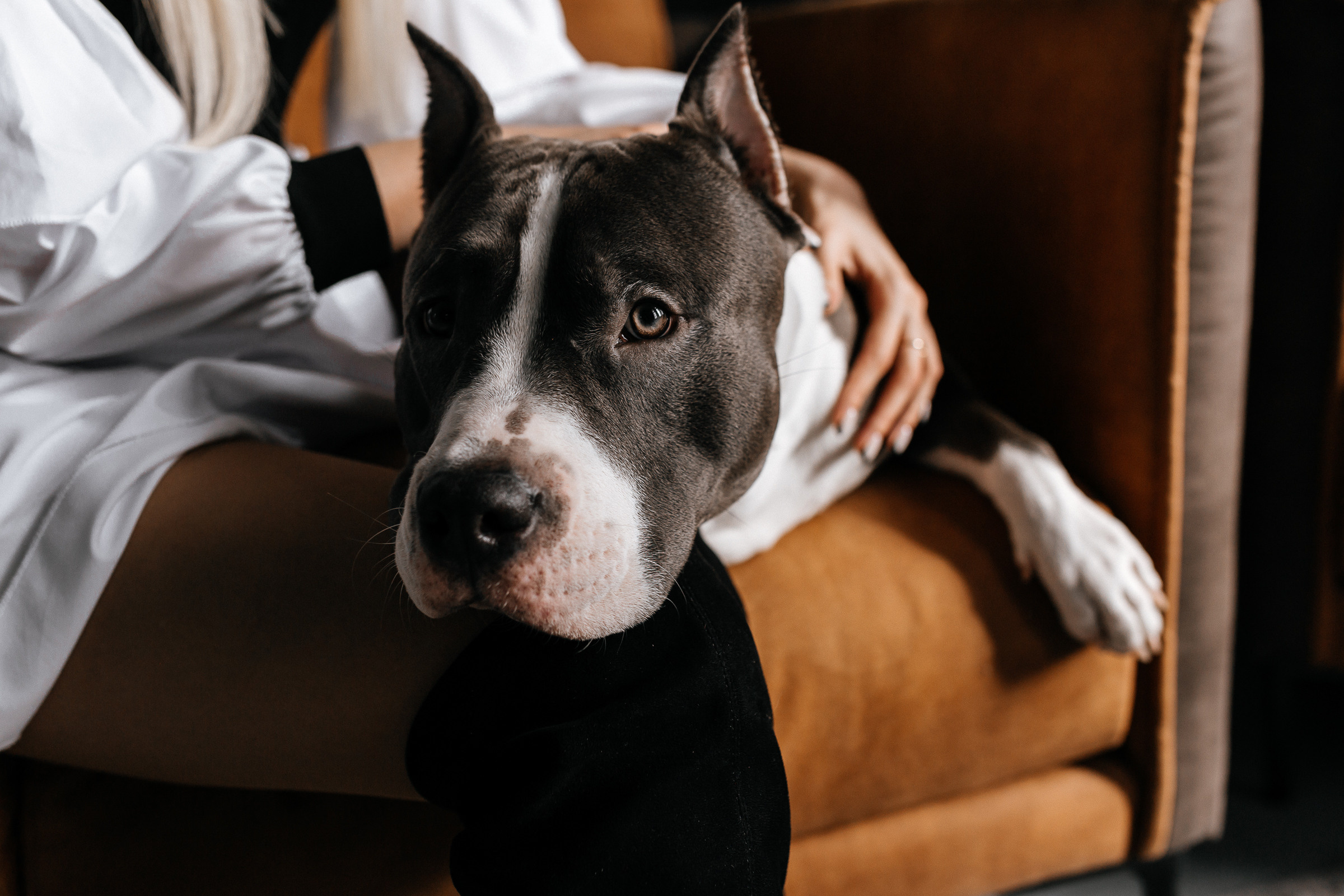 Любовь. Свадебный, семейный фотограф Беларусь