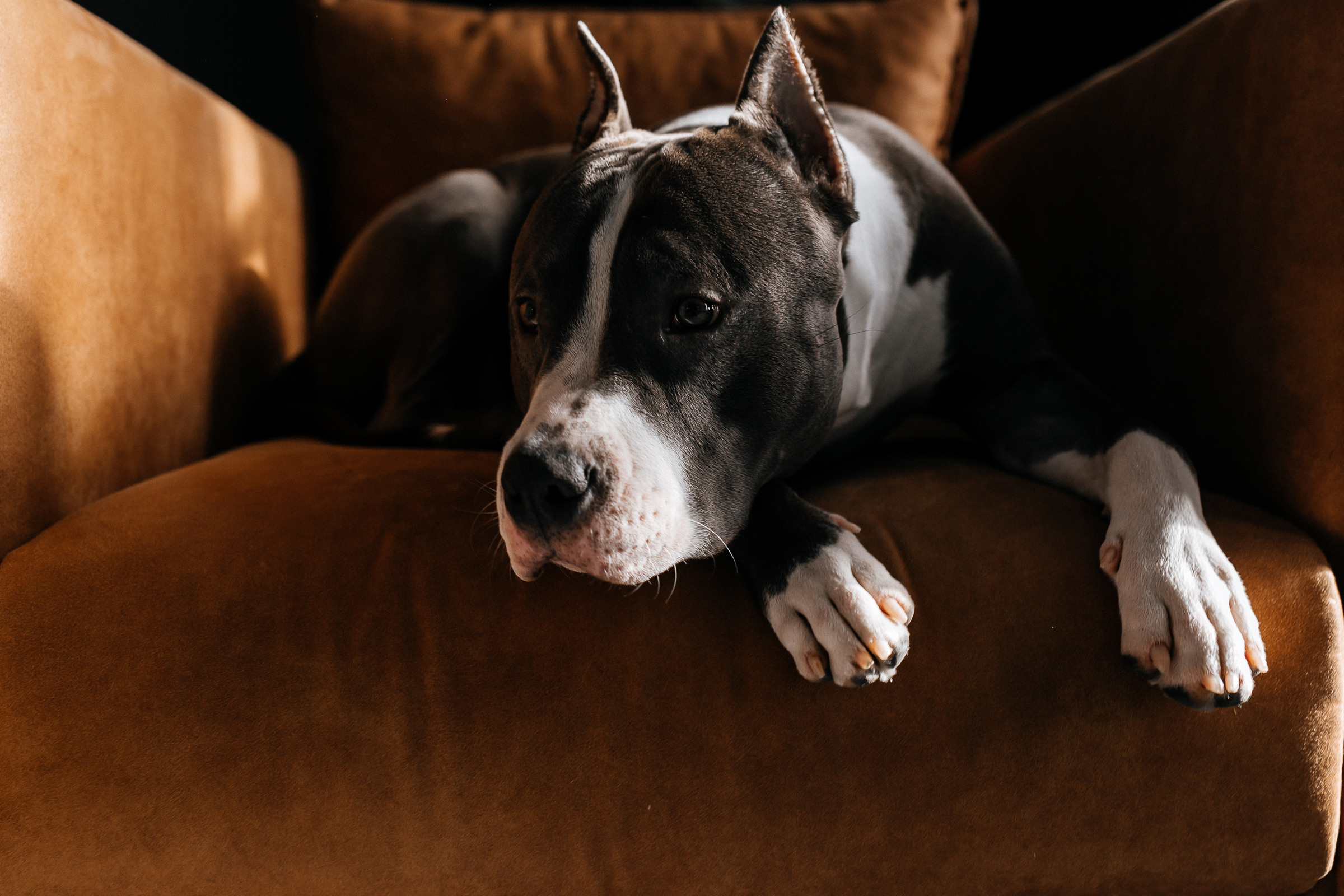 Любовь. Свадебный, семейный фотограф Беларусь