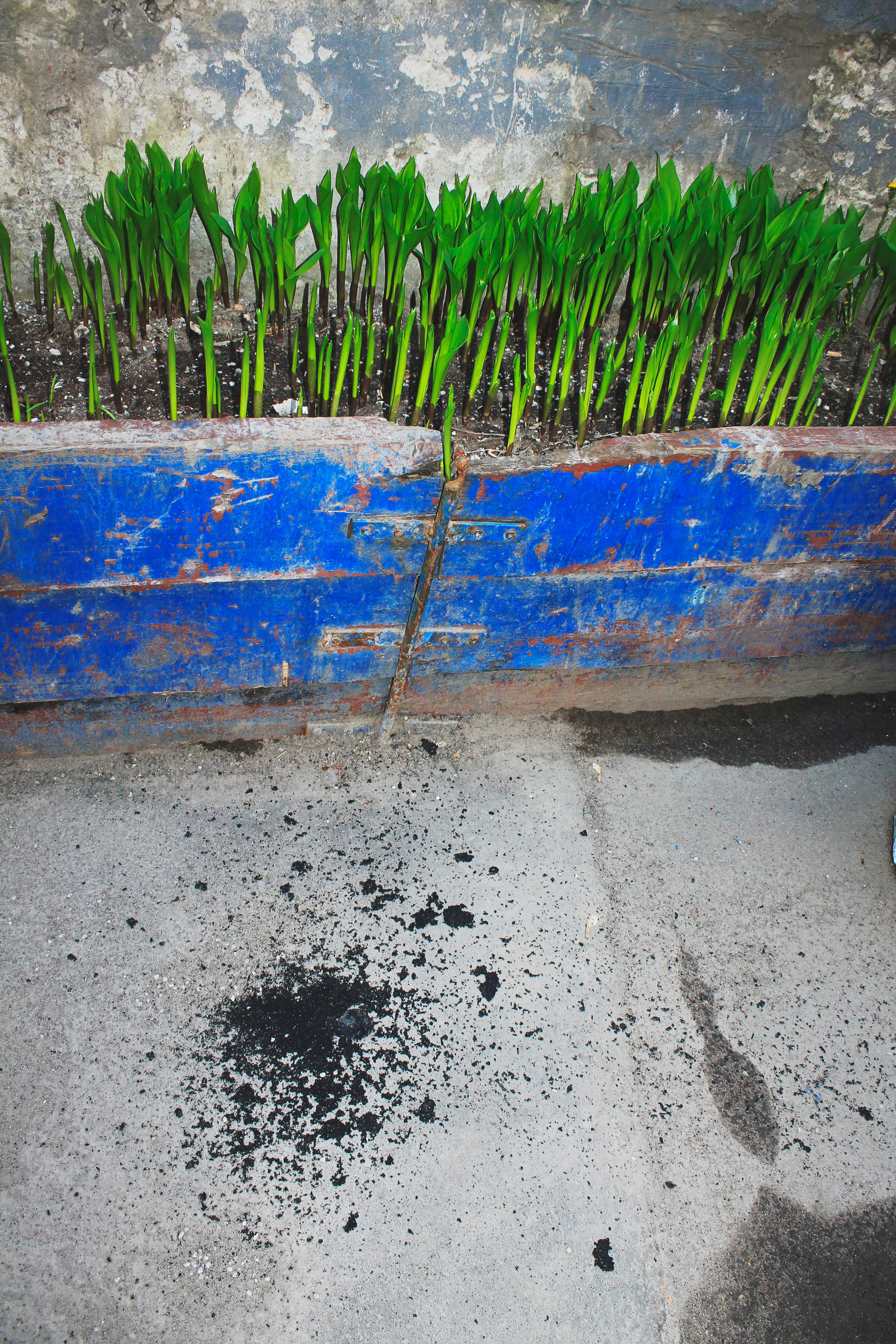 Мои первые работы. Фотограф из Москвы — DASHA NOVA | Авторская фотография в разных жанрах