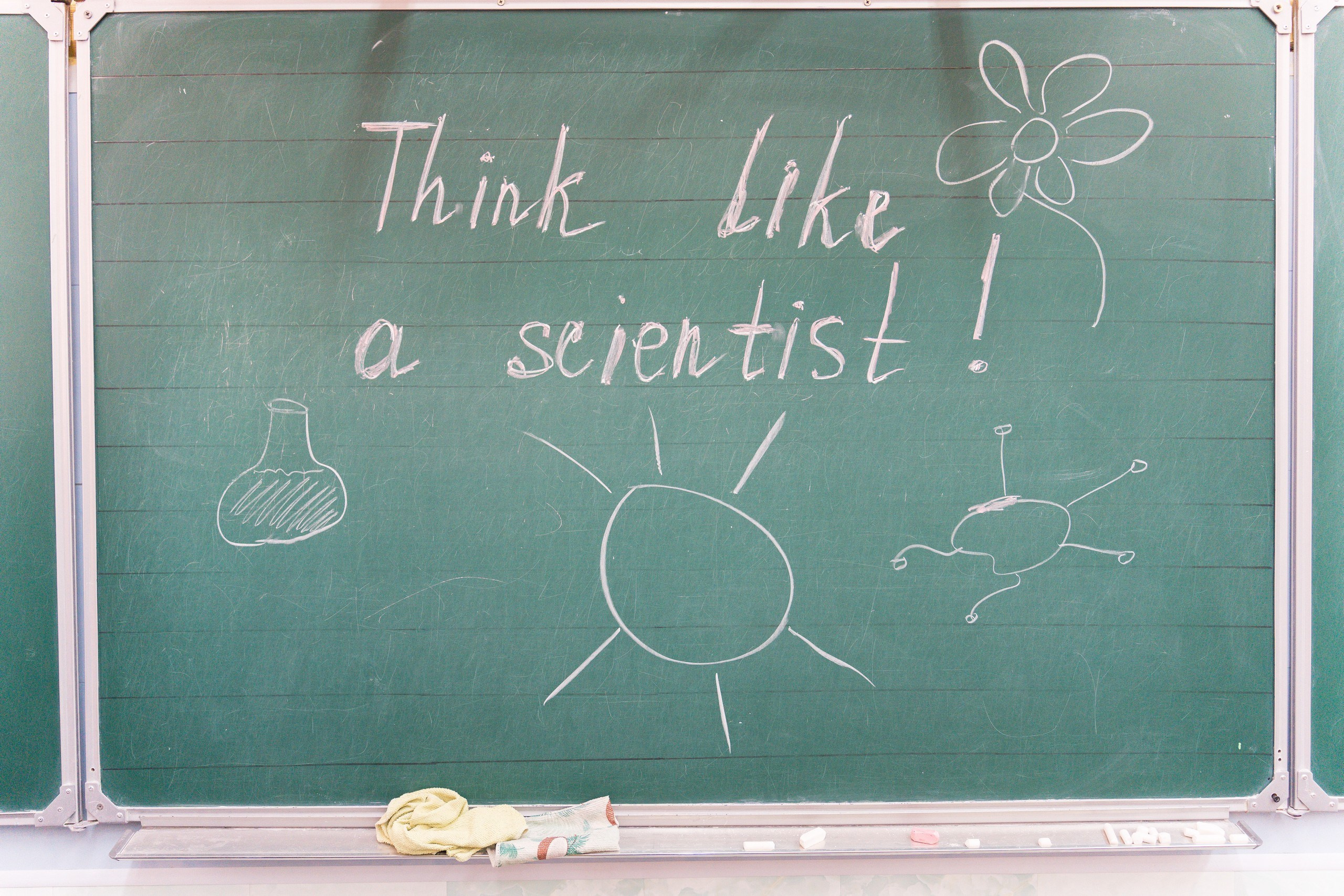 Пятёрка для ребёнка. Репортажная съёмка в Санкт-Петербурге, Константин Петров