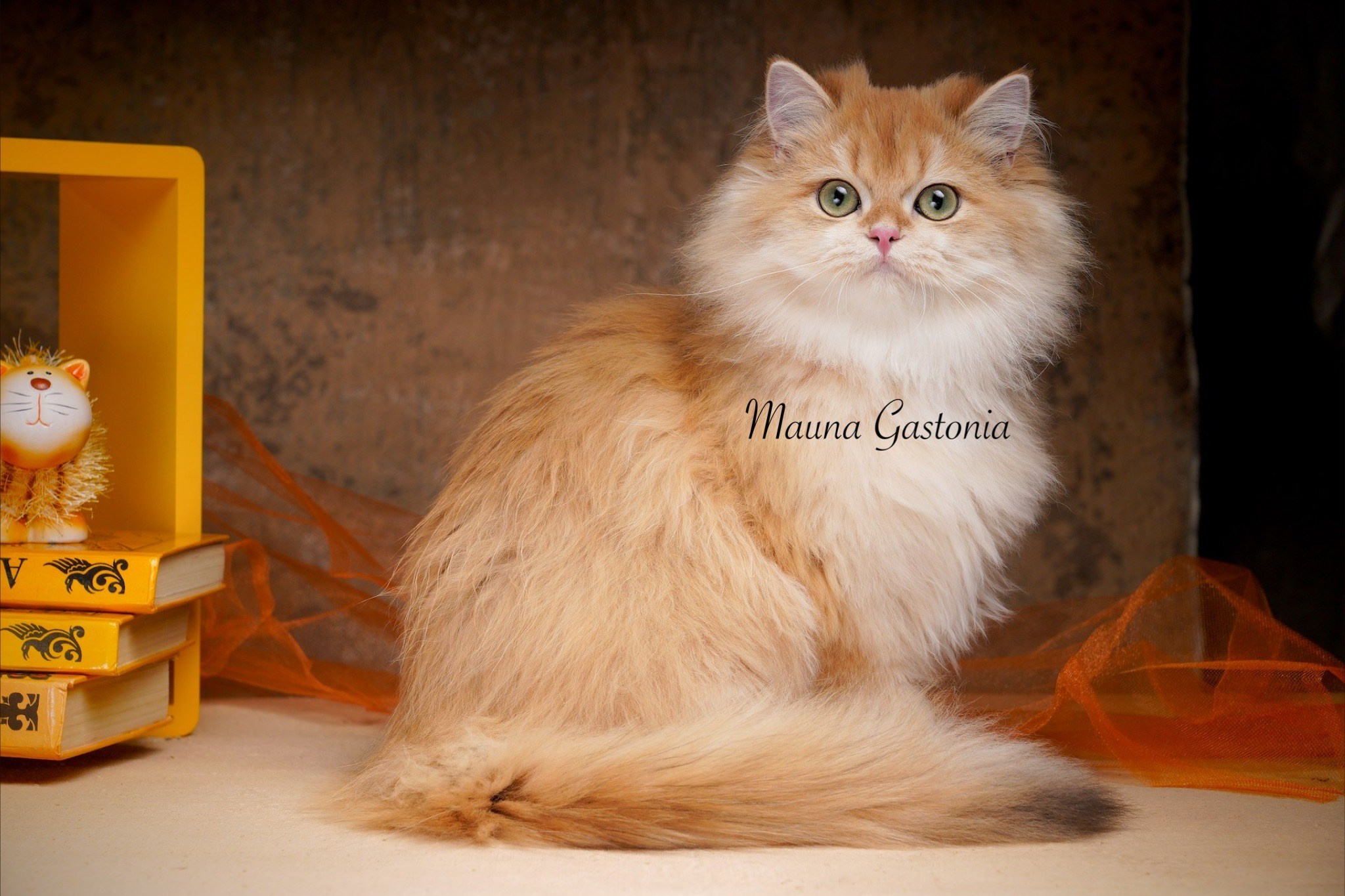 Germes. Mauna Gastonia