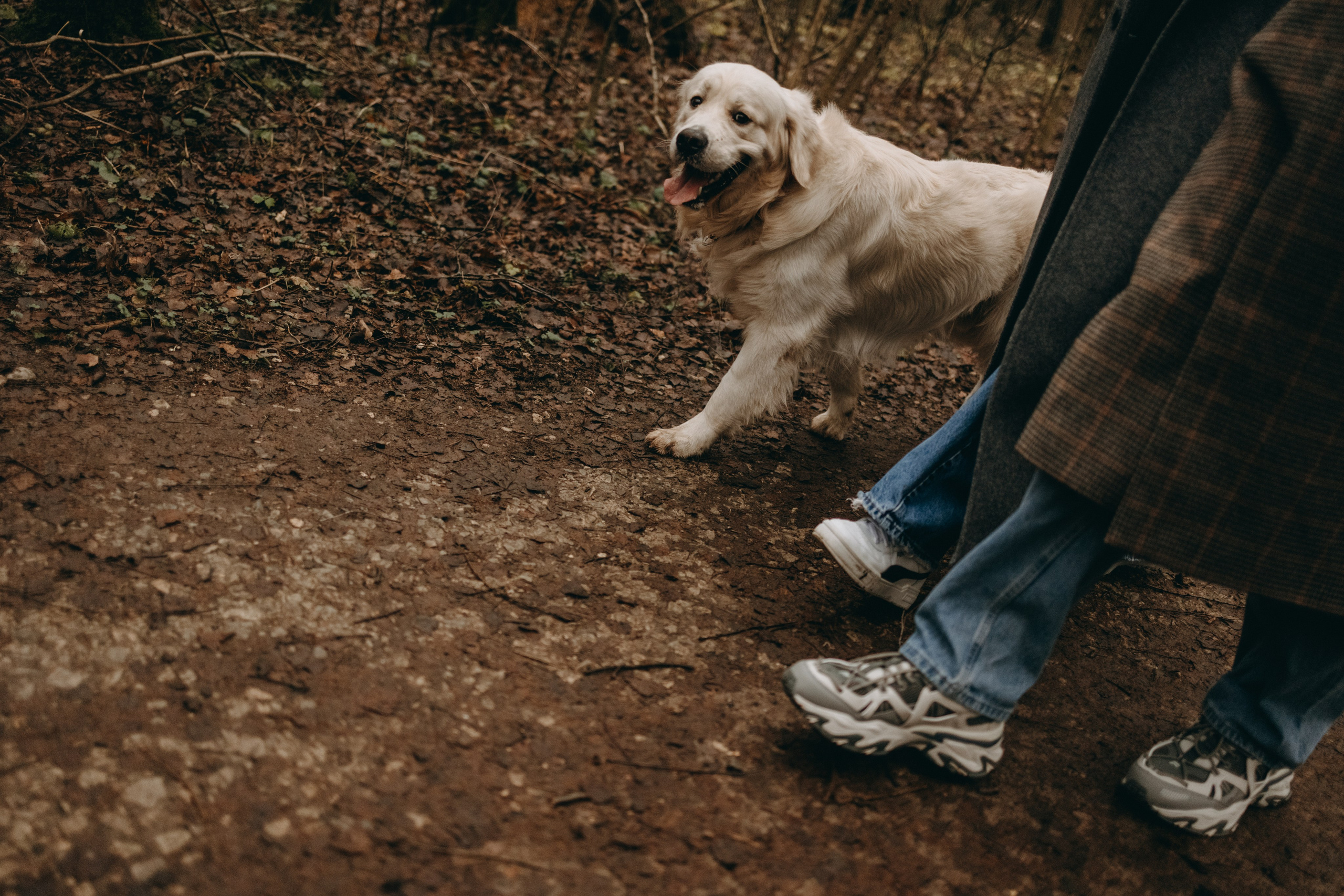 Лаки и его семья. Фотограф — Анималист | Санкт-Петербург