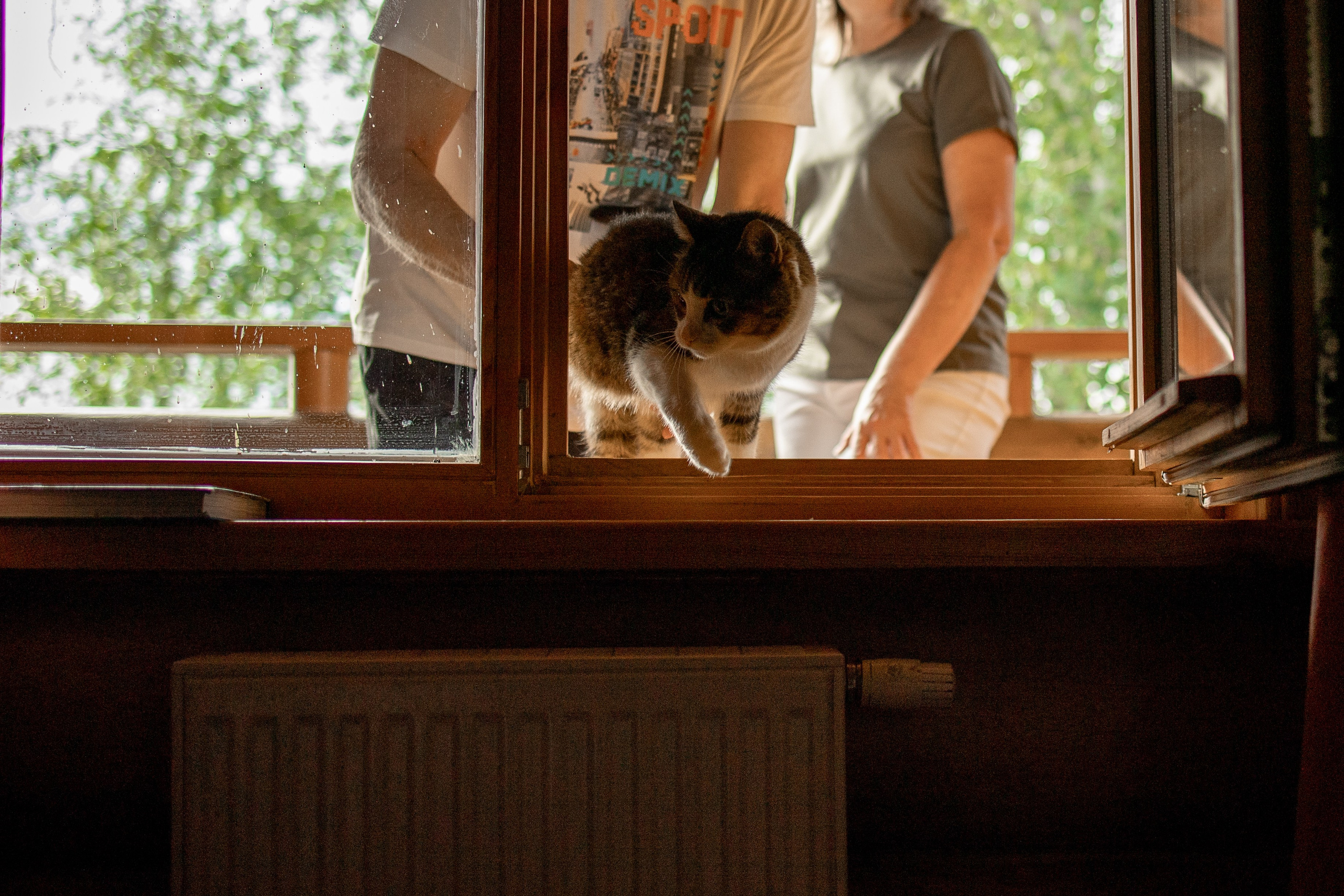 Дом у реки. Фотограф — Анималист | Санкт-Петербург