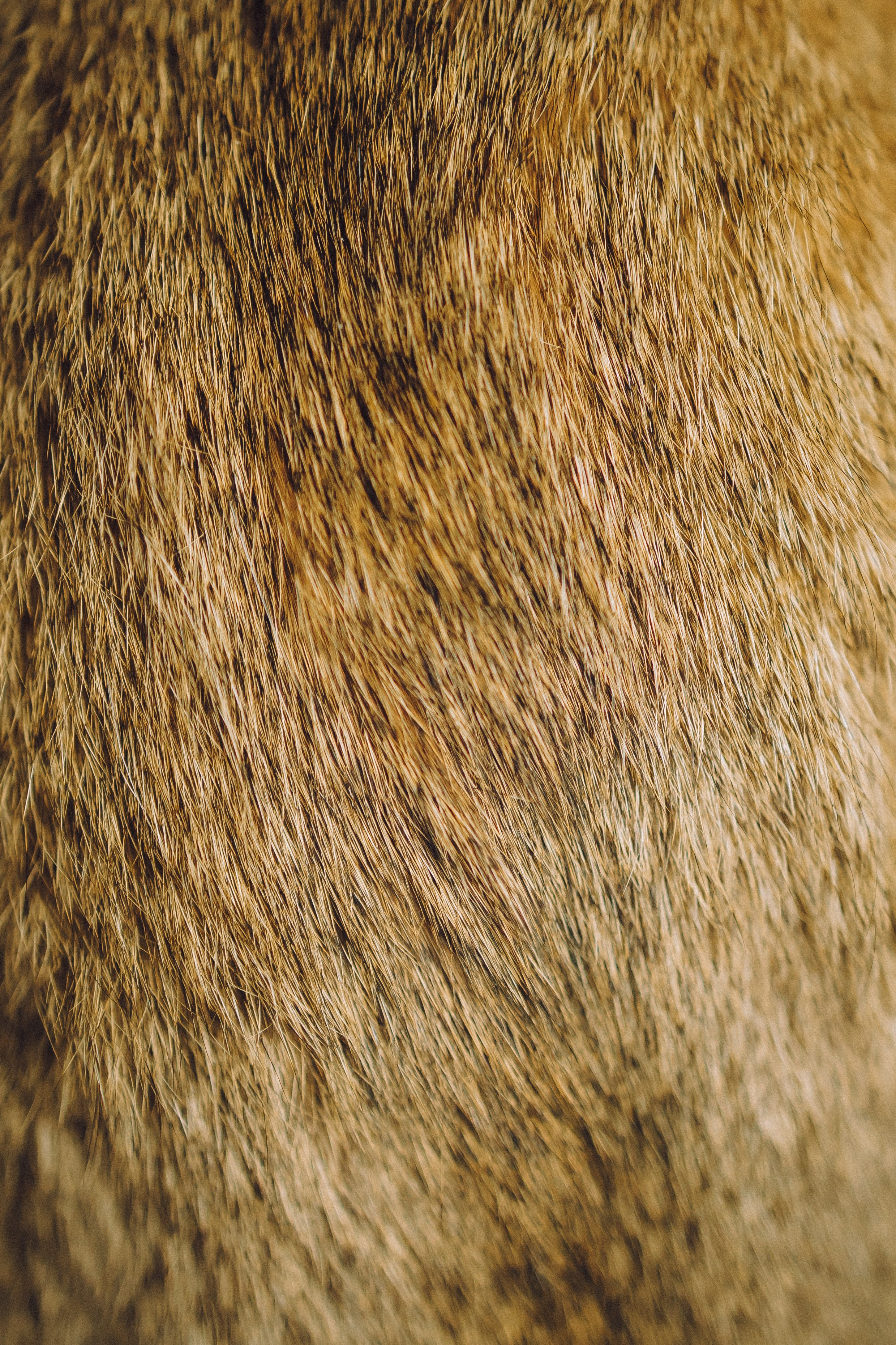 Генри и его семья