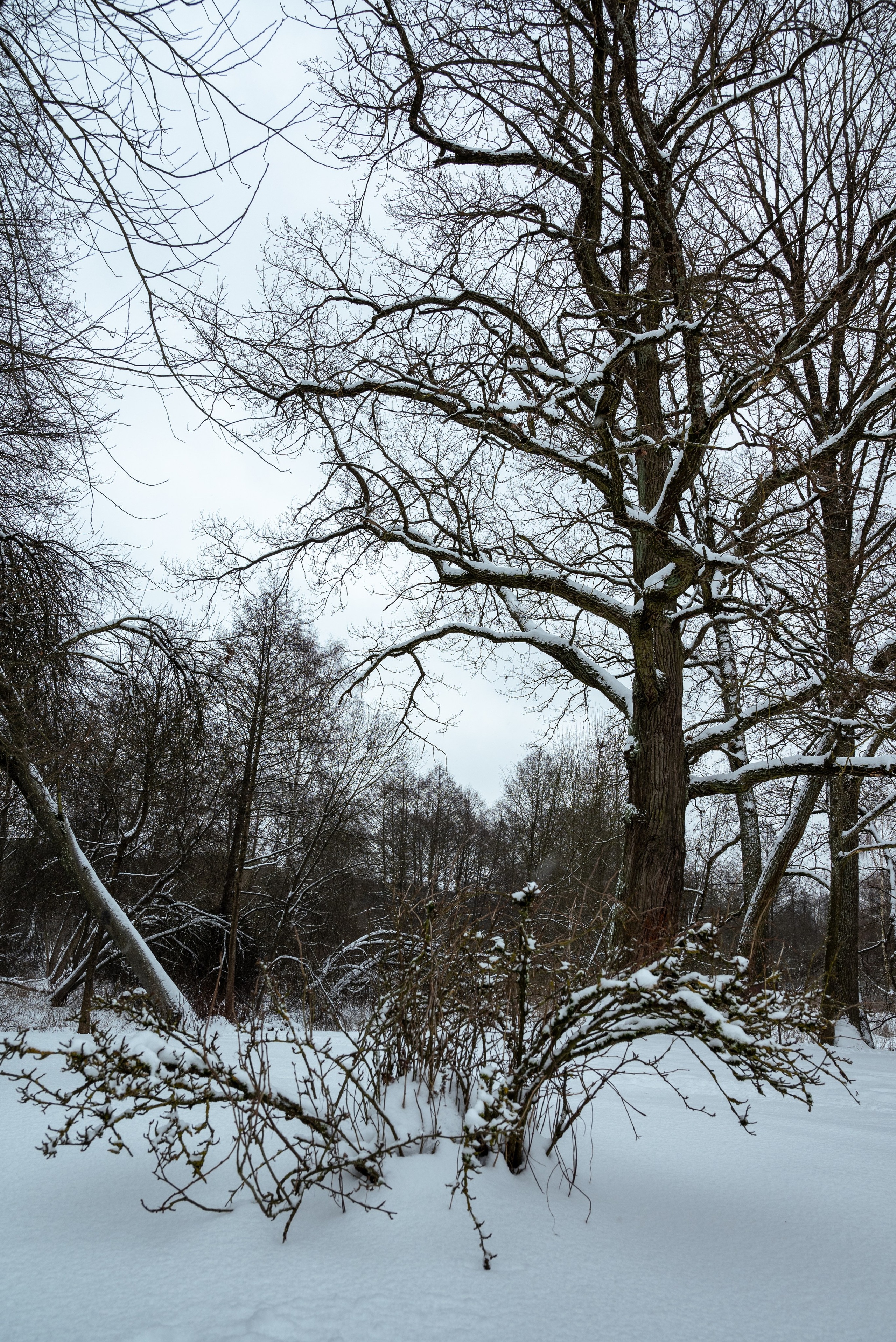 Места. Фотограф в Минске Дарья Кончакова