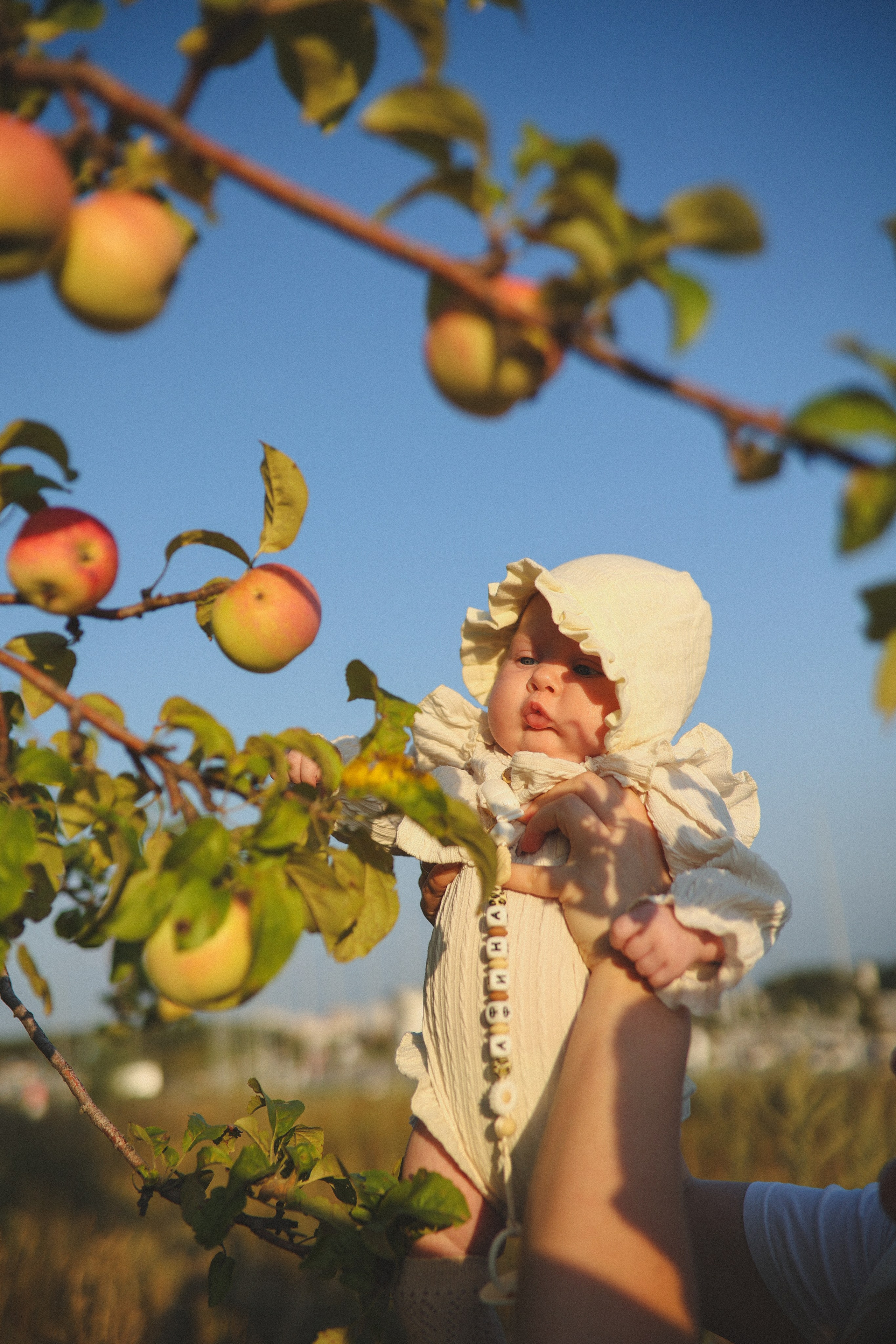 Семья Светы, Максима и Афины. Фотограф Самара Лена Мандарин