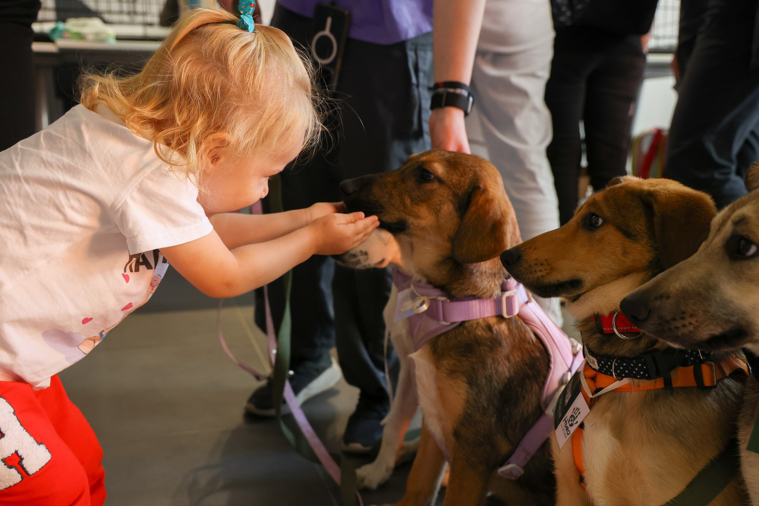 ECO FEST. Фотограф Вадим Бодылев