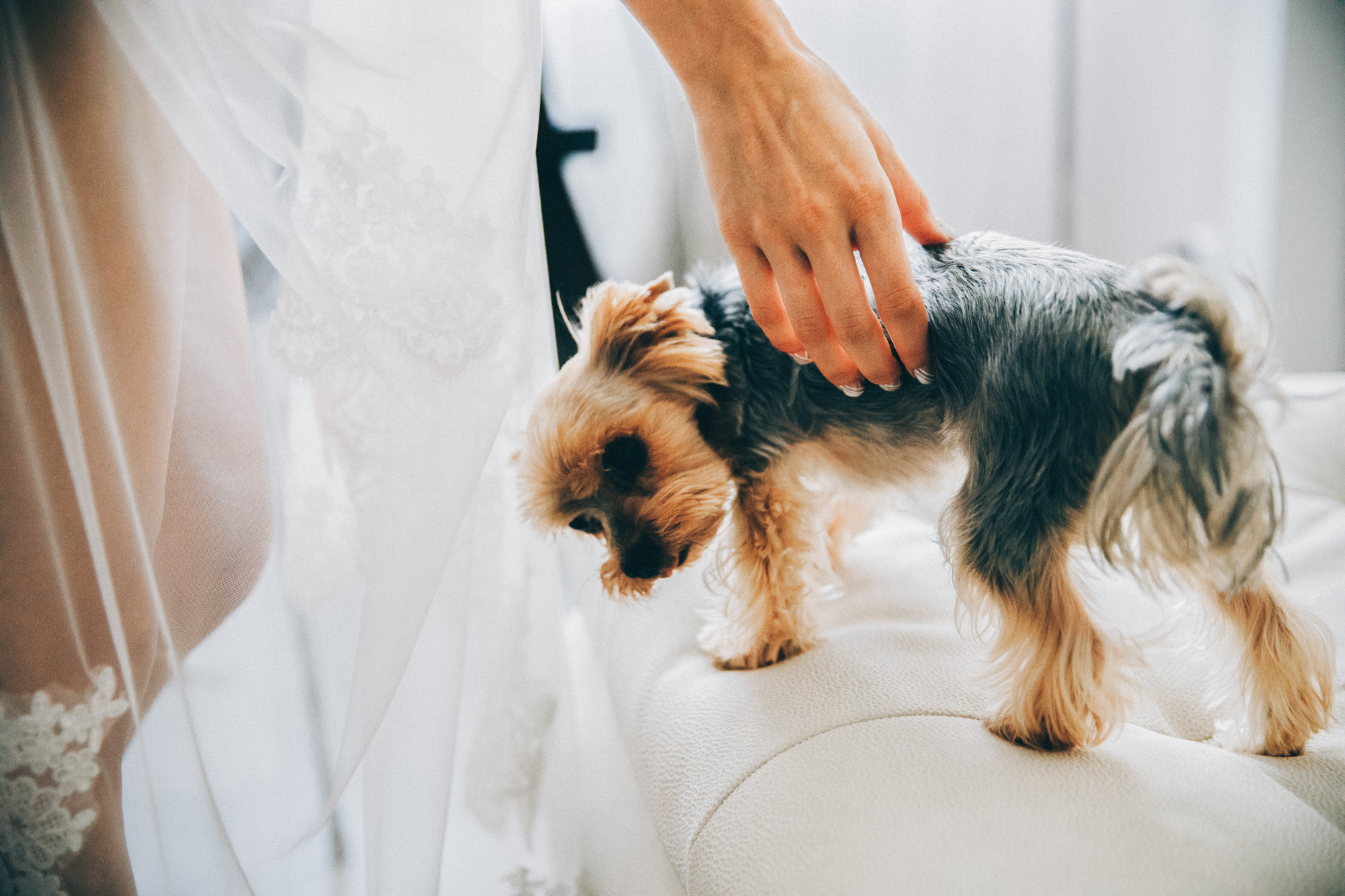 Wedding at the sea. Фотограф Максим Маркелов