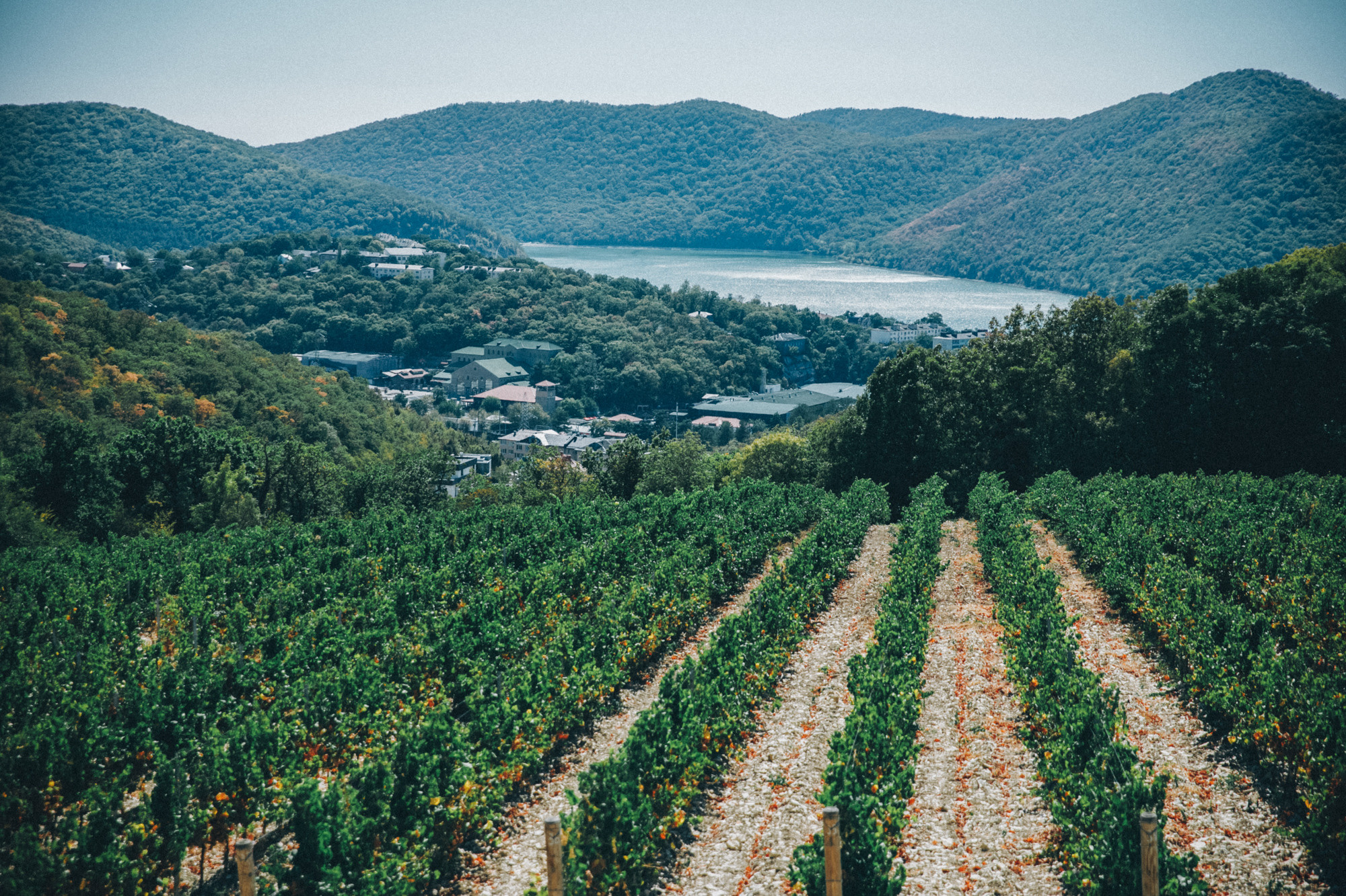 Wedding at the sea. Фотограф Максим Маркелов