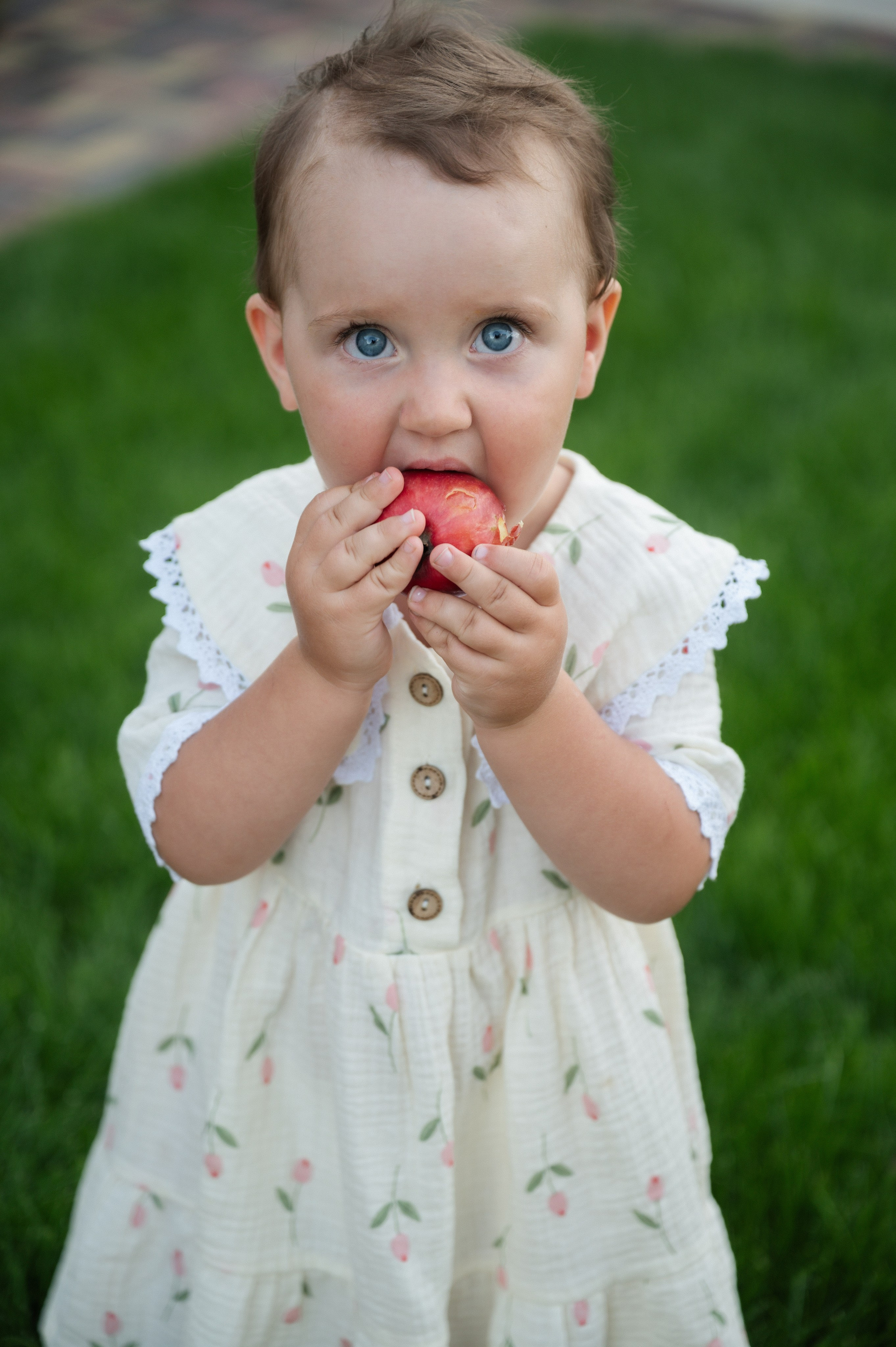 Семейная с правнучками. Фотограф Алёна Мил