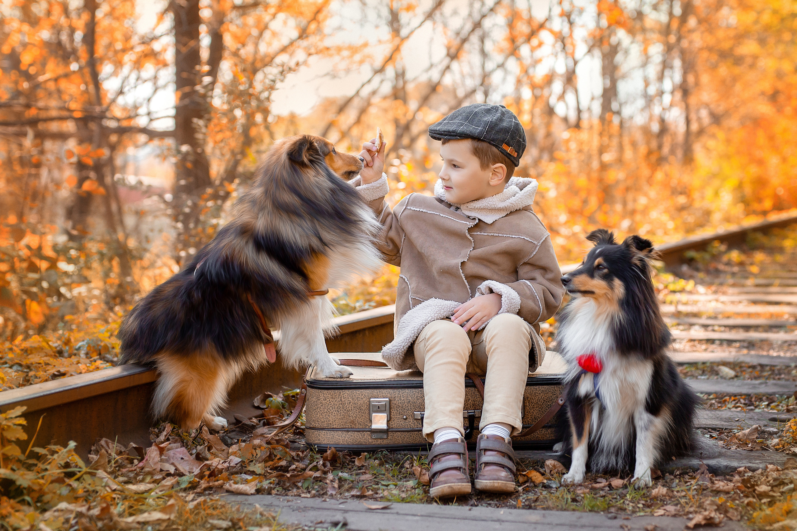 Верные друзья. Стильный выпускной альбом Владивосток фотограф Вероника Мигачева