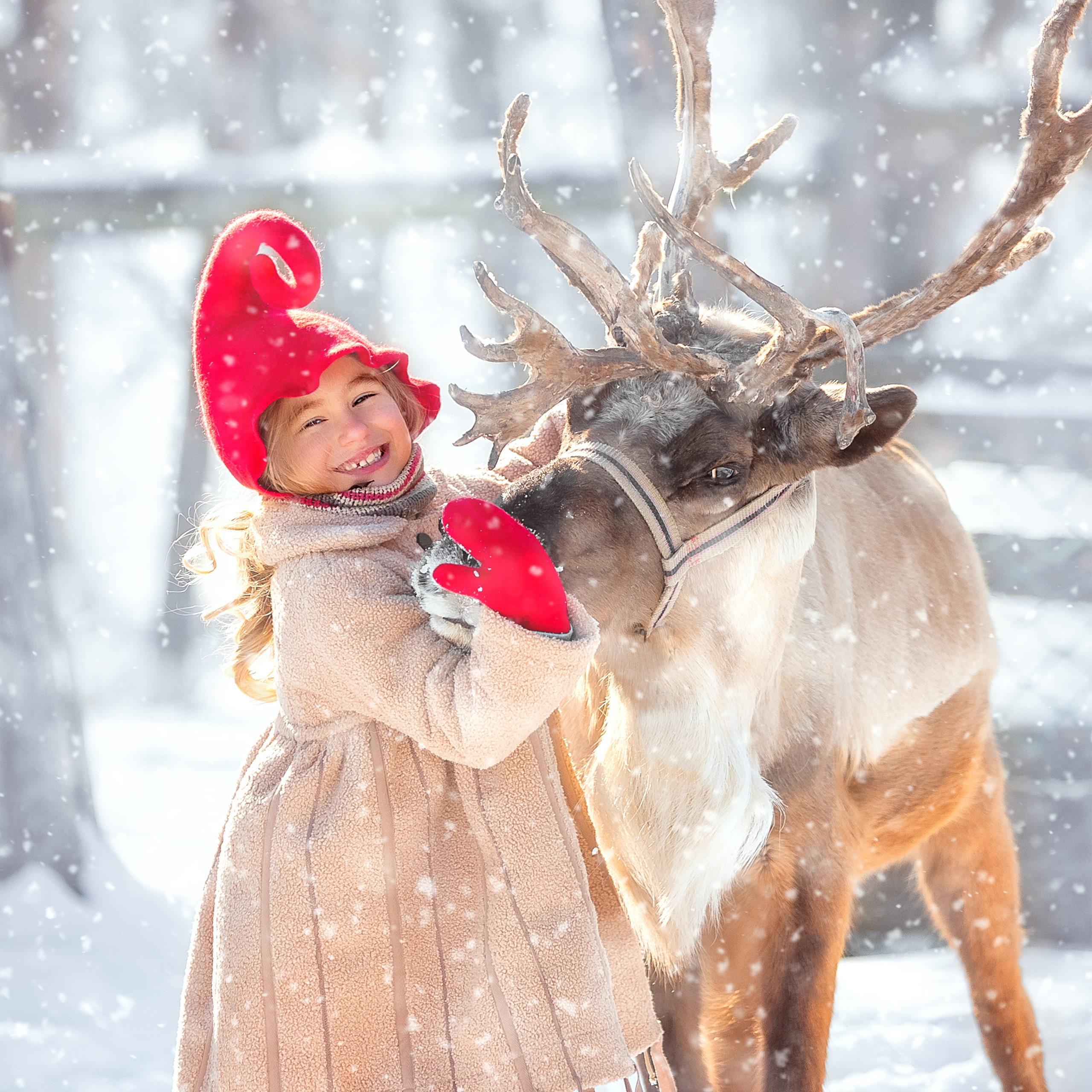 Прайс. Стильный выпускной альбом Владивосток фотограф Вероника Мигачева