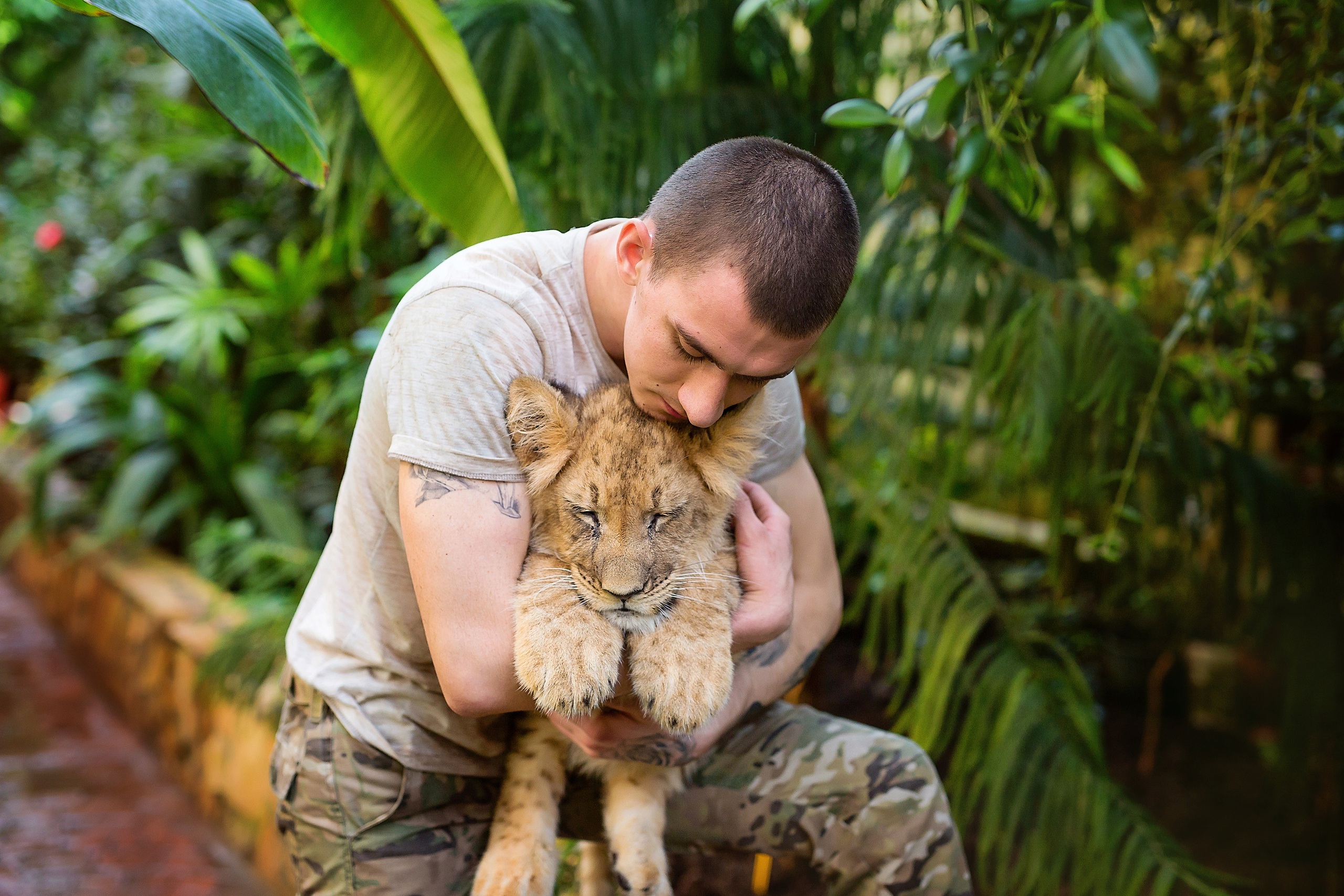 Симба. Стильный выпускной альбом Владивосток фотограф Вероника Мигачева