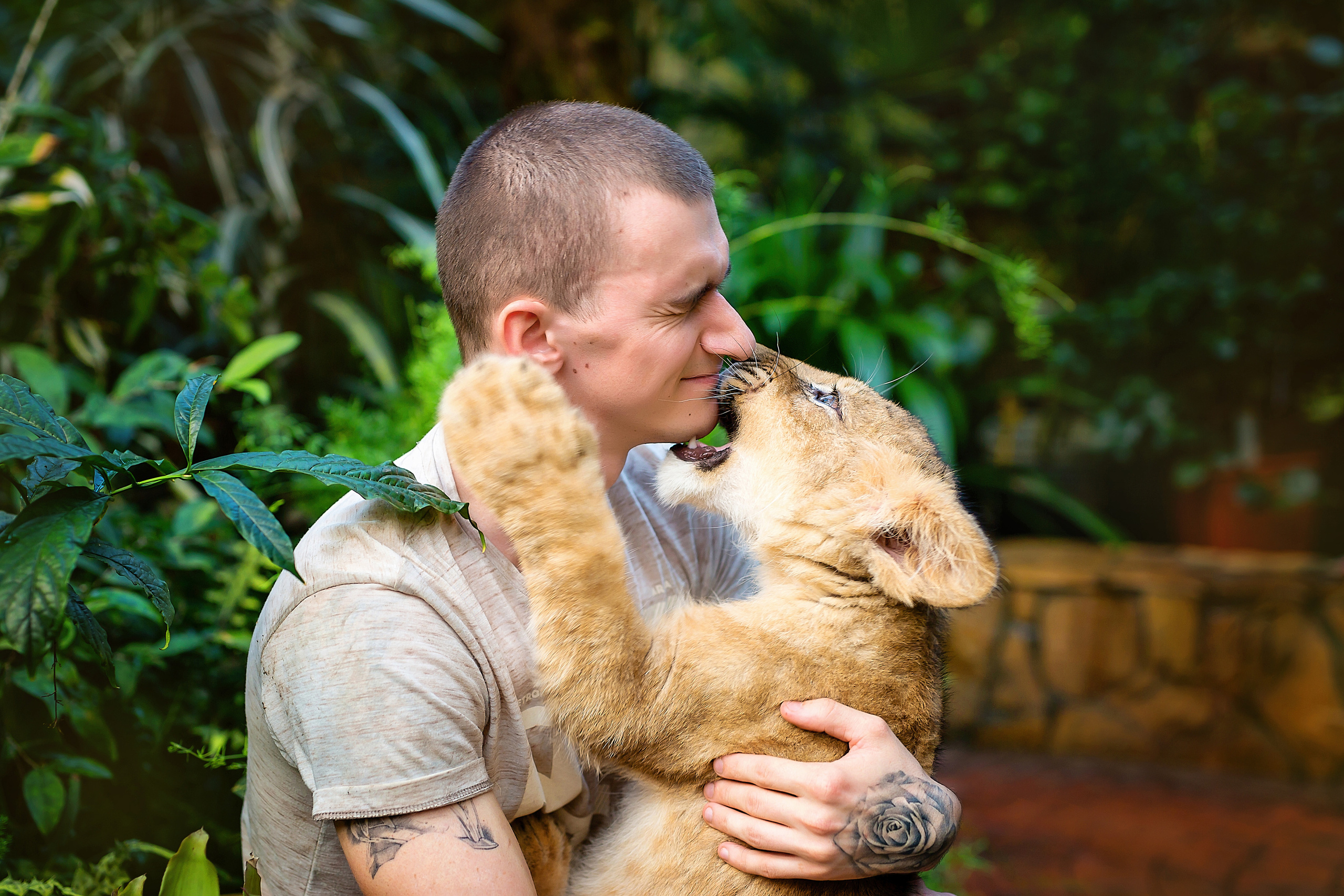 Симба. Стильный выпускной альбом Владивосток фотограф Вероника Мигачева