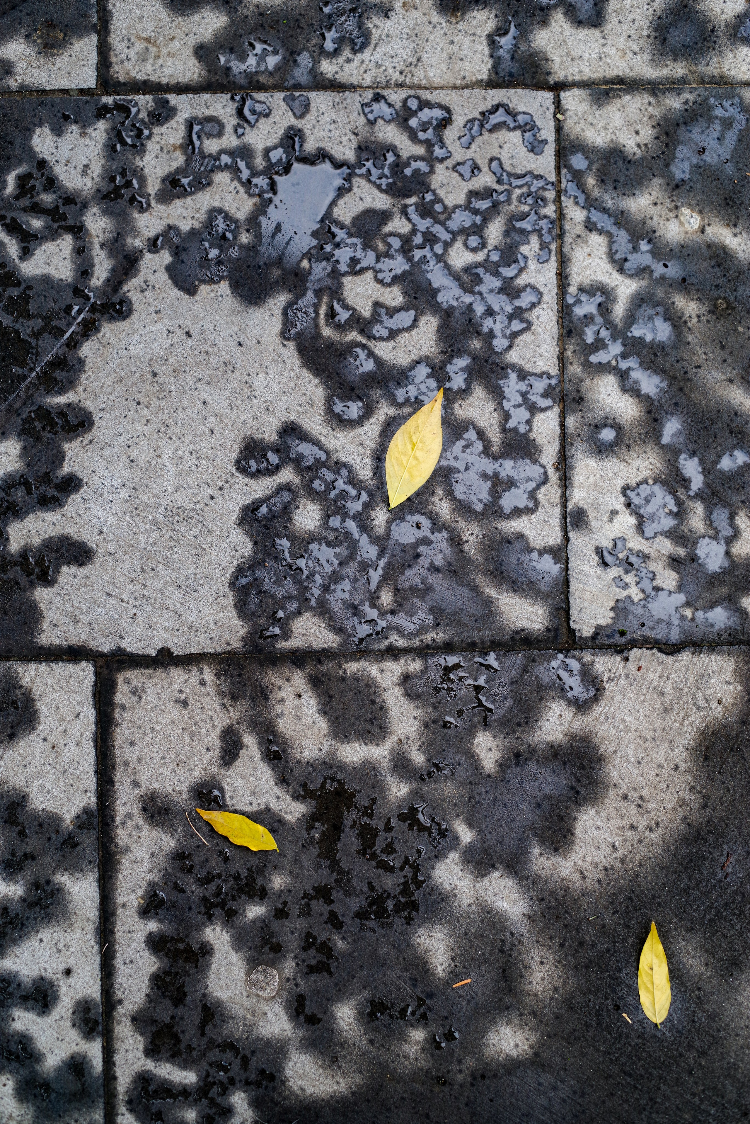 ფოტო ტელეფონისთვის. Портретный фотограф Денис Милютин