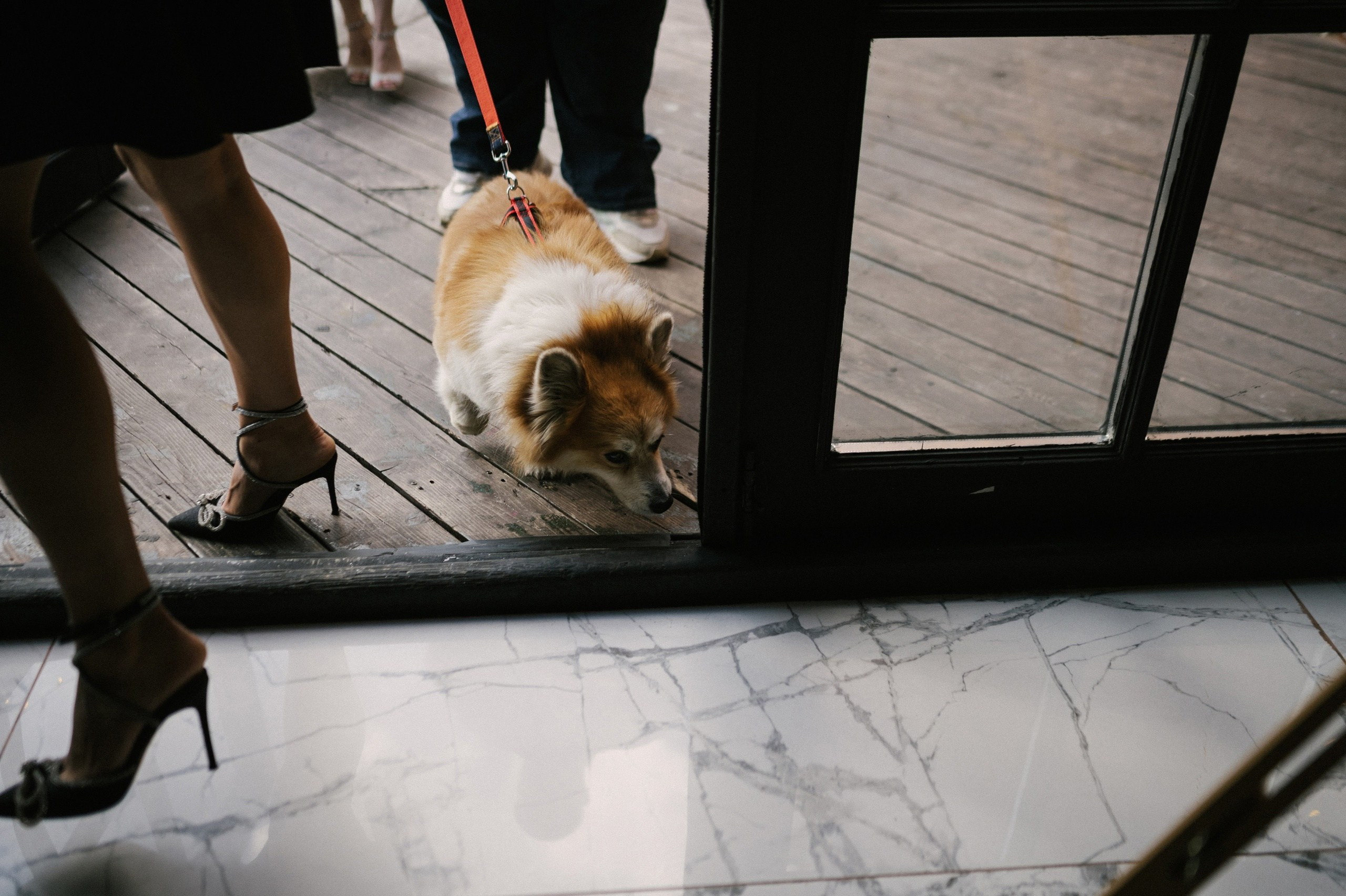 Илья и Татьяна. Свадебный и репортажный фотограф Москва. Николай Бойко