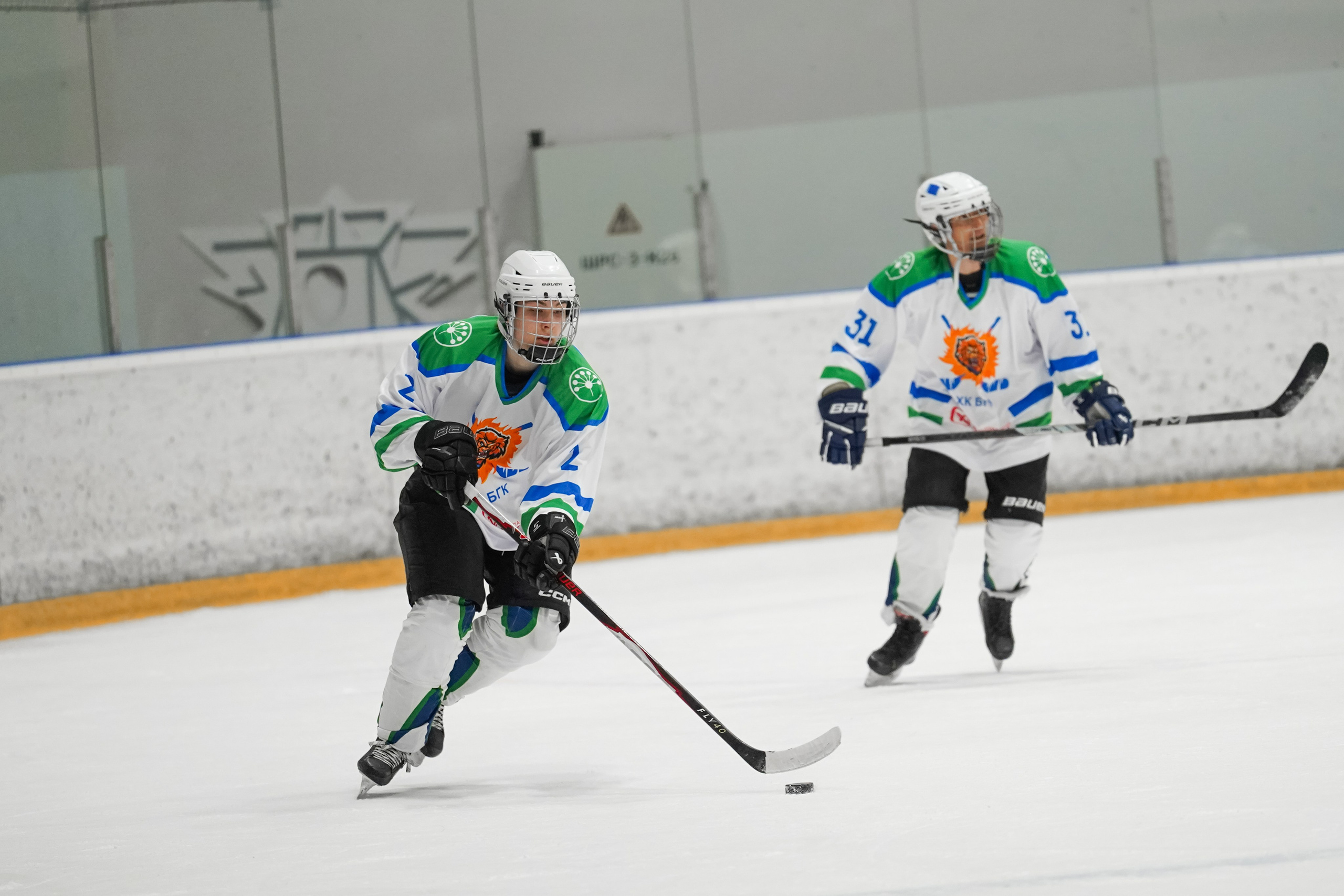 Башкирская хоккейная лига. Маслухин Дмитрий — Ваш Фотограф