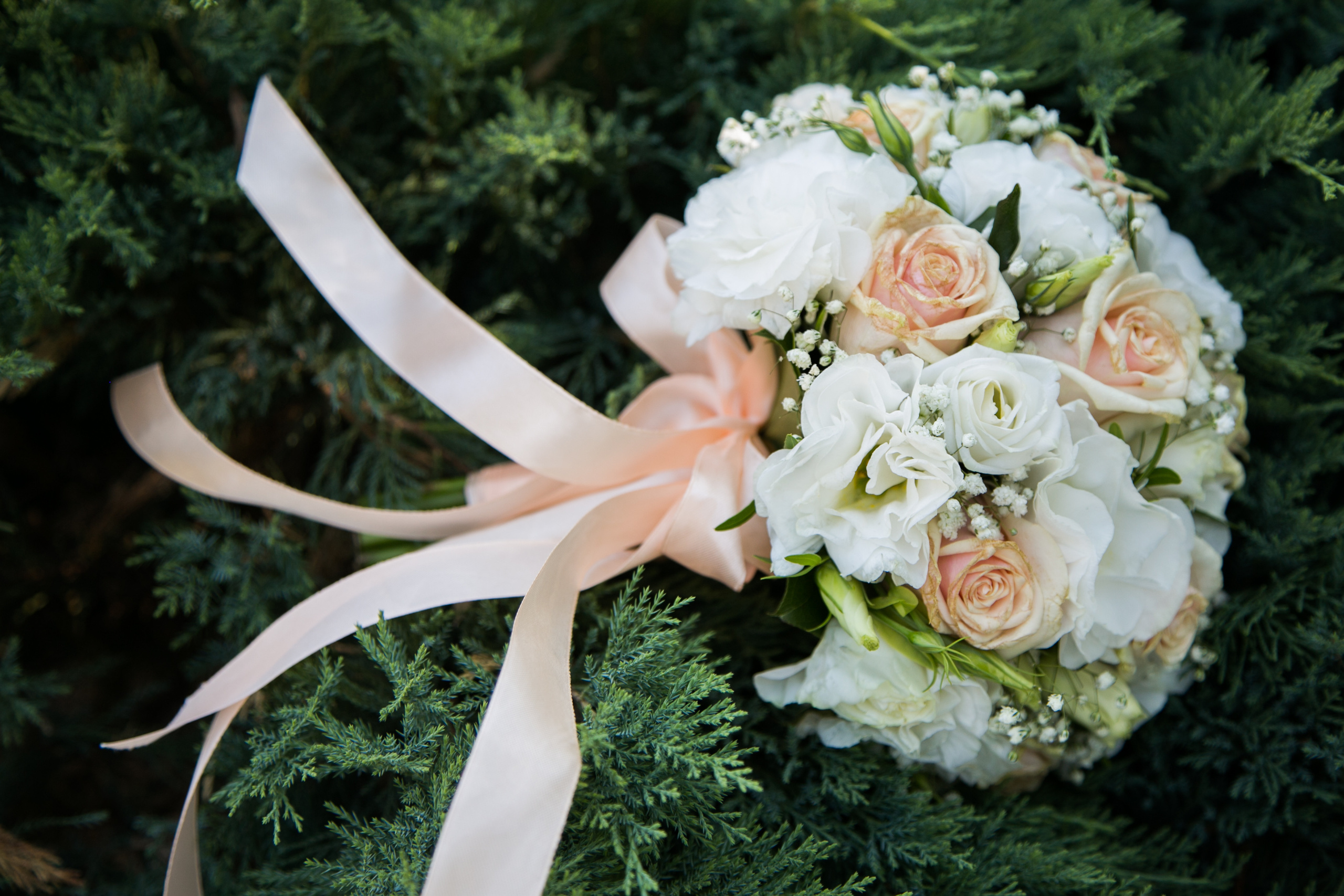 Свадьба Алина и Гриша. Свадебный фотограф, видеограф в Самаре, Самарской области. Видеосъемка