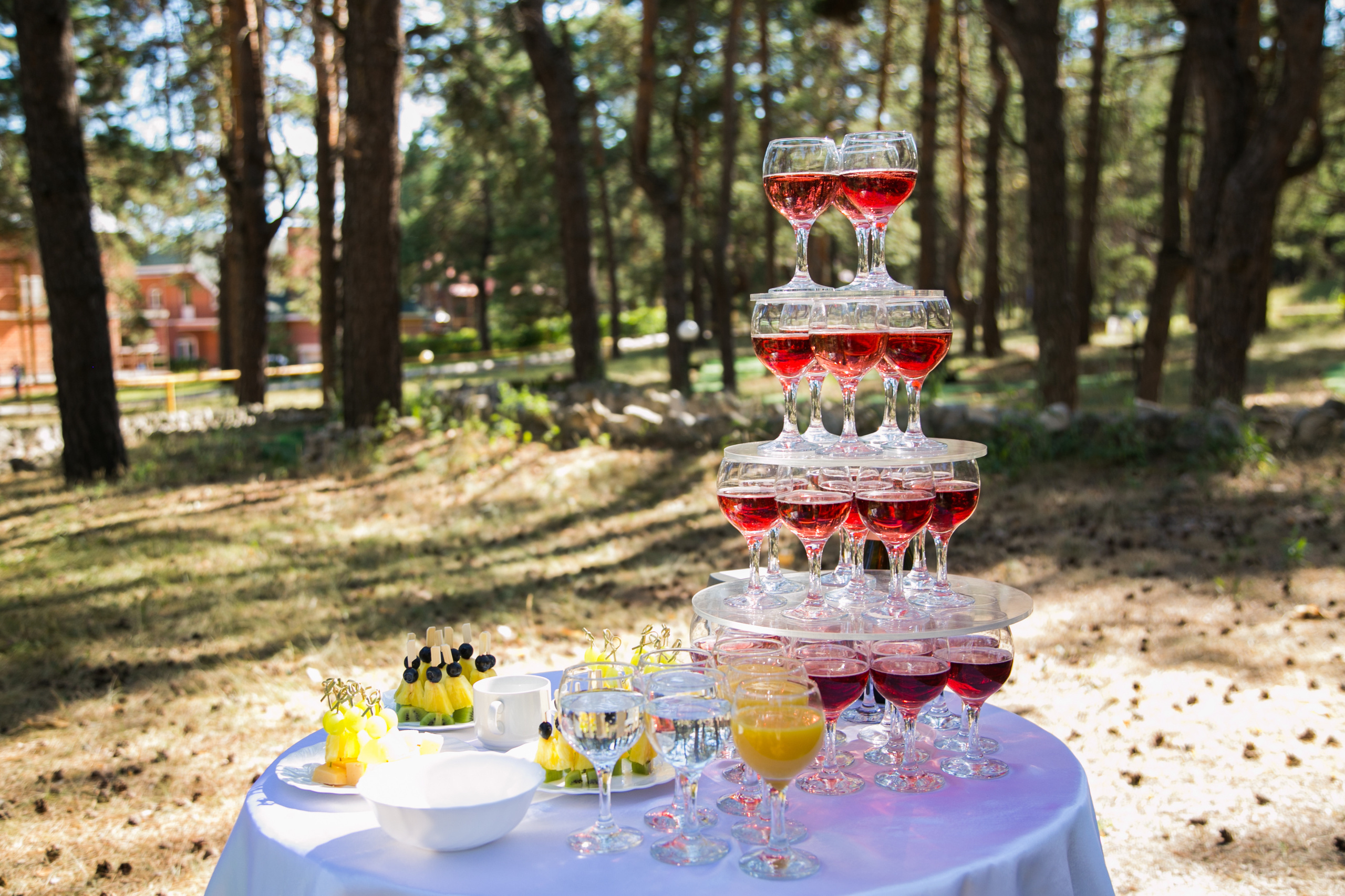Свадьба Алина и Гриша. Свадебный фотограф, видеограф в Самаре, Самарской области. Видеосъемка