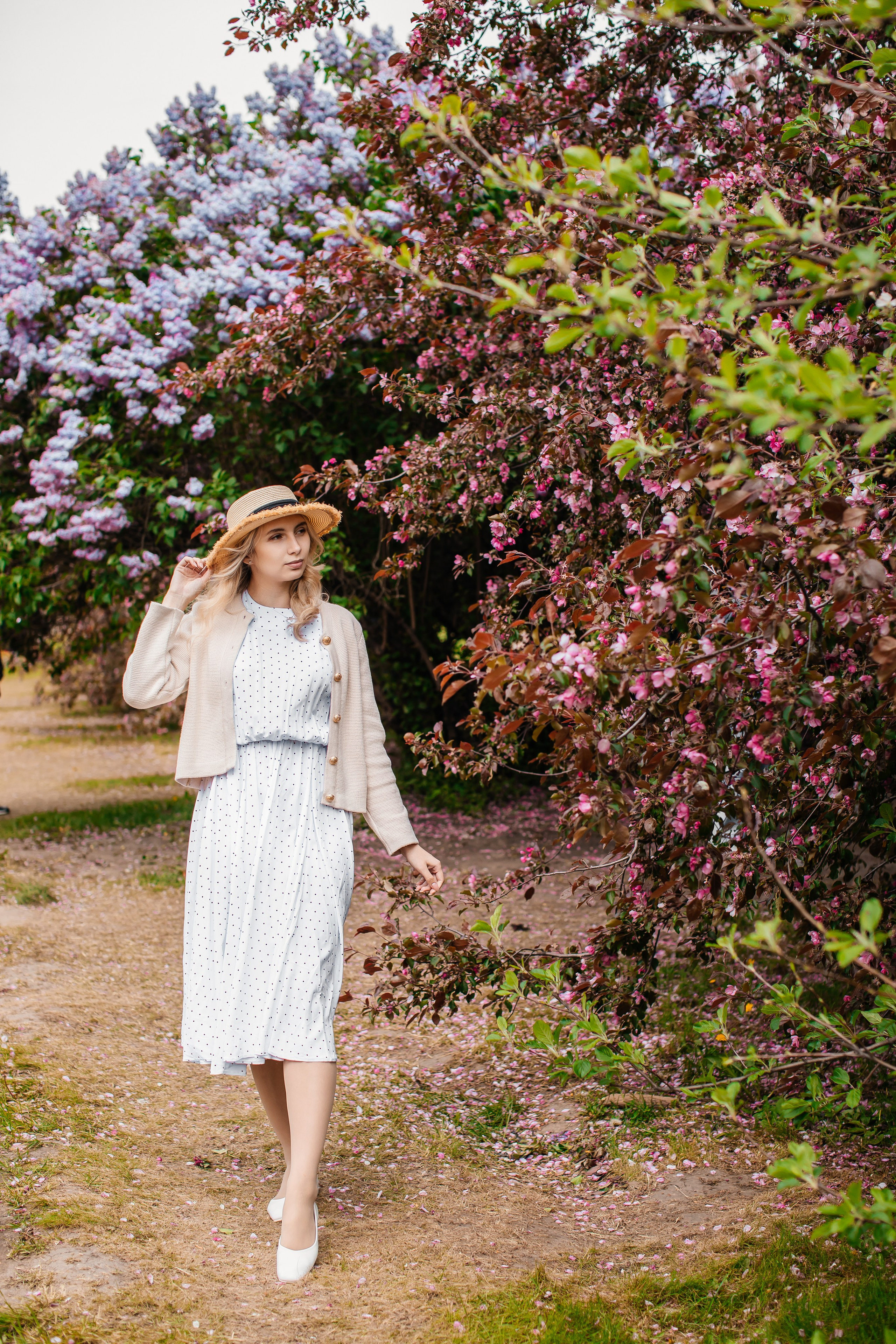 Цветение. Анастасия Давыдова