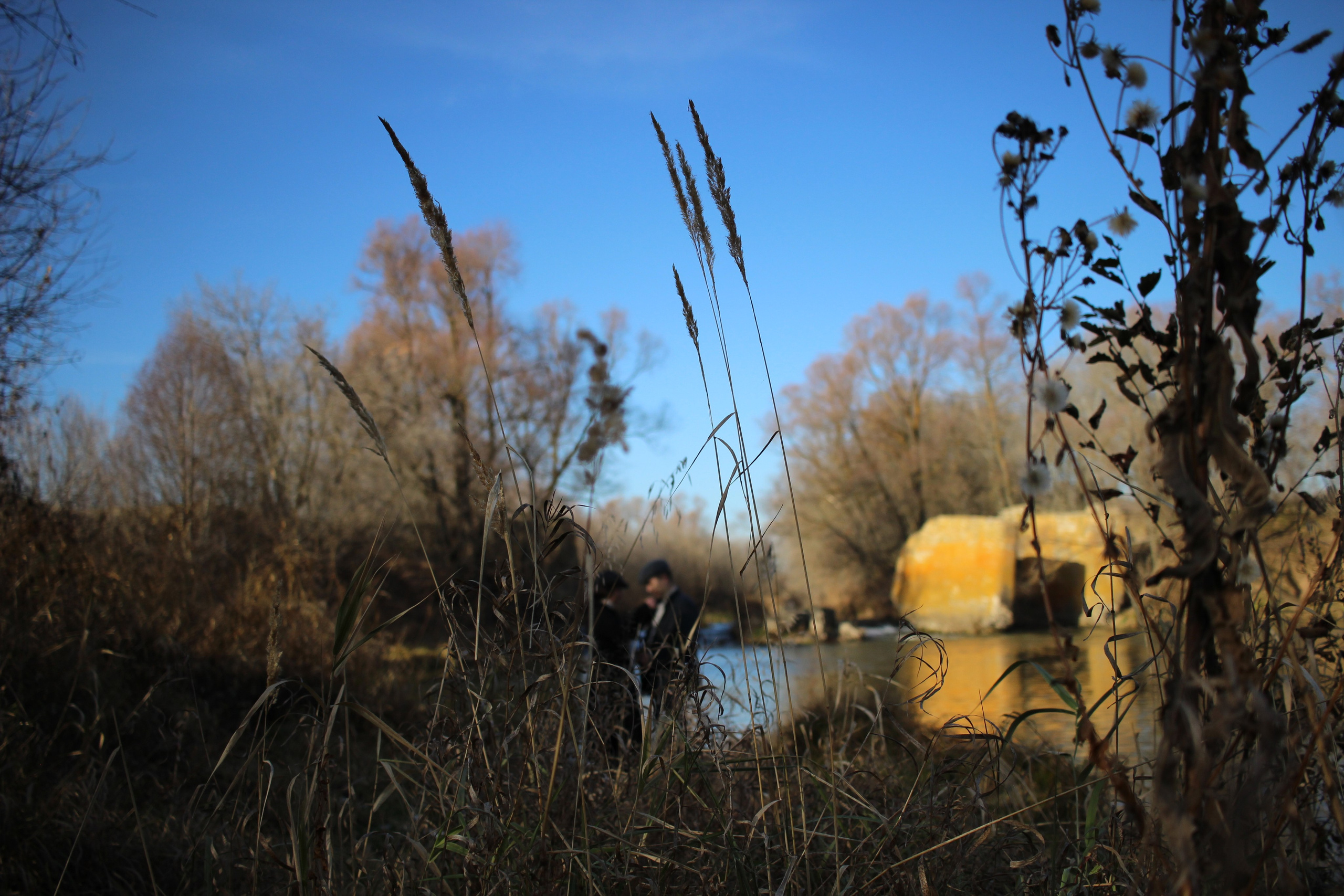 Asya and Almir. Фотограф в Казани / Регина Суфиянова