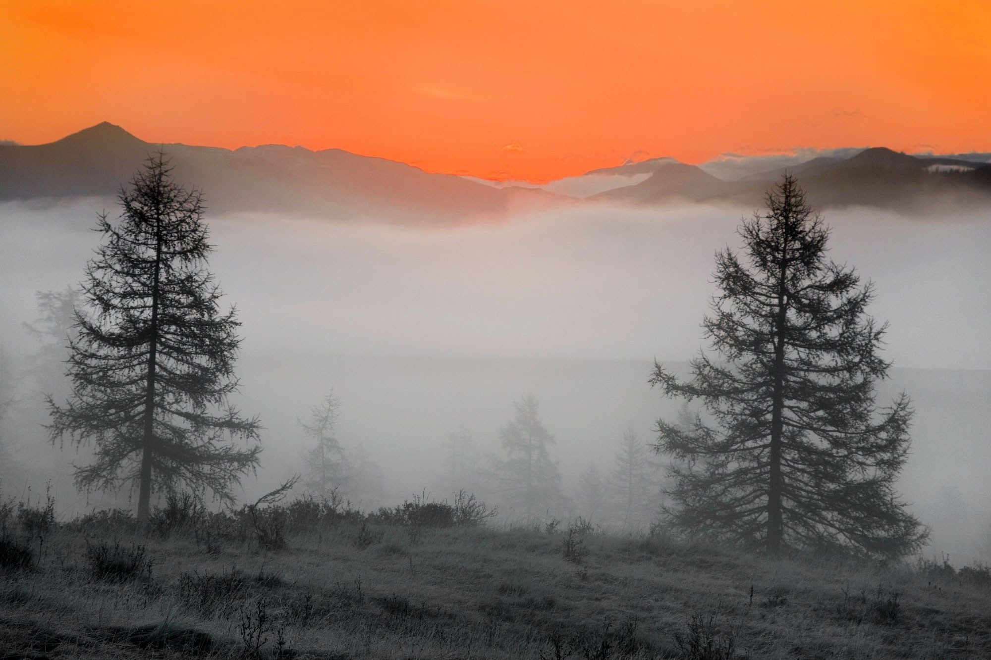 Свадебный фотограф в Геленджике