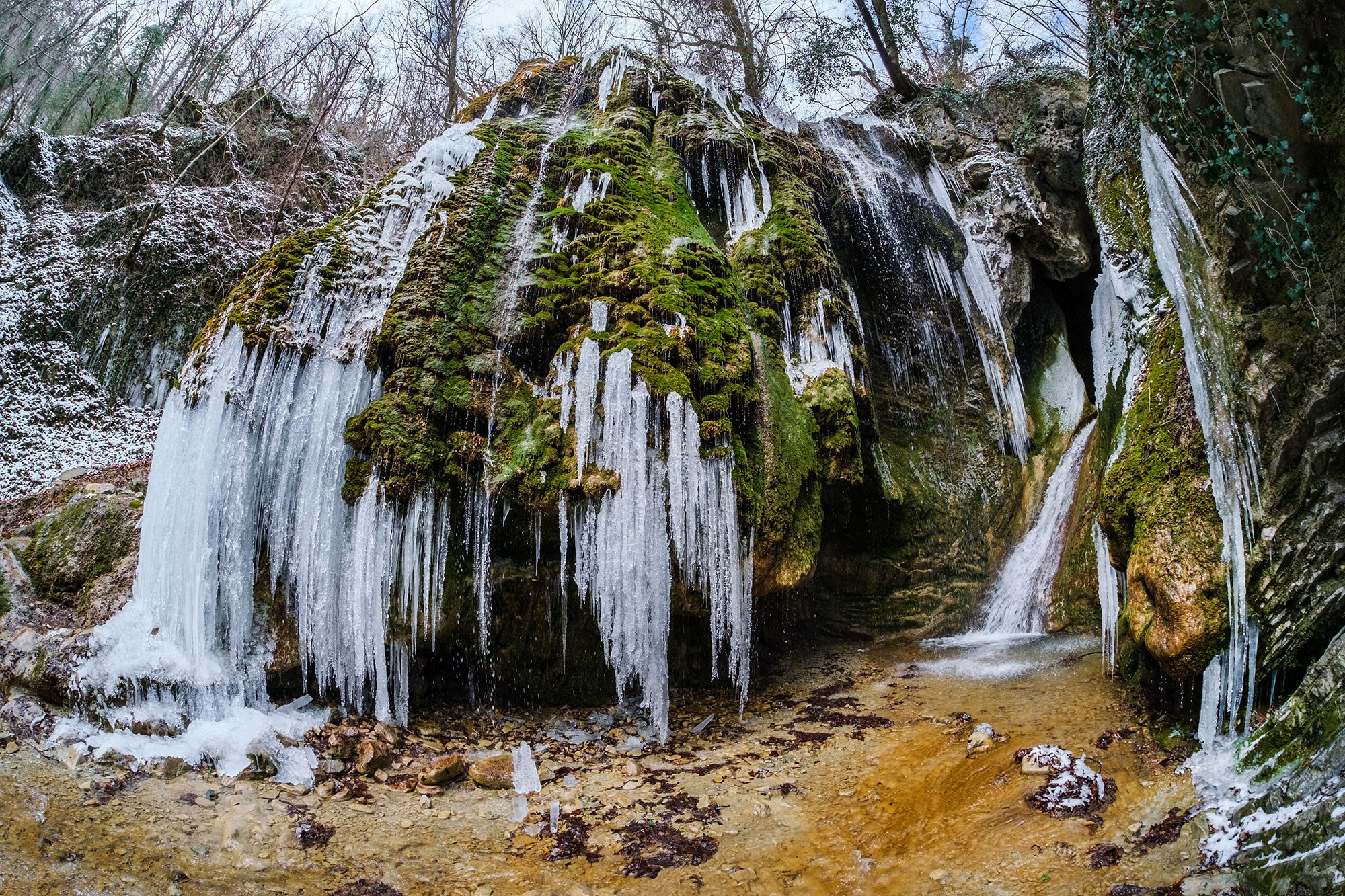 Природа — разное