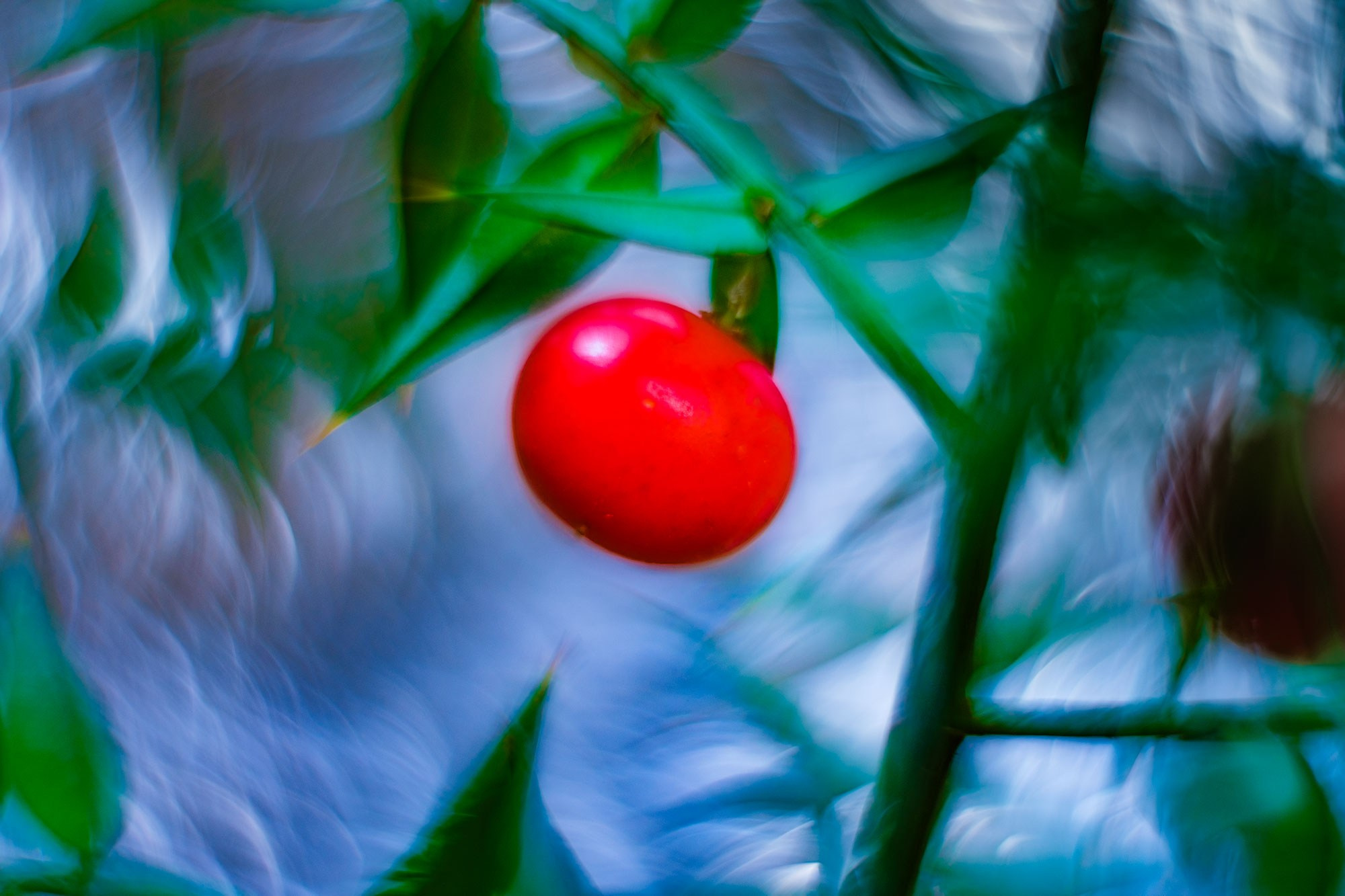фотограф в Геленджике, фотограф Геленджик