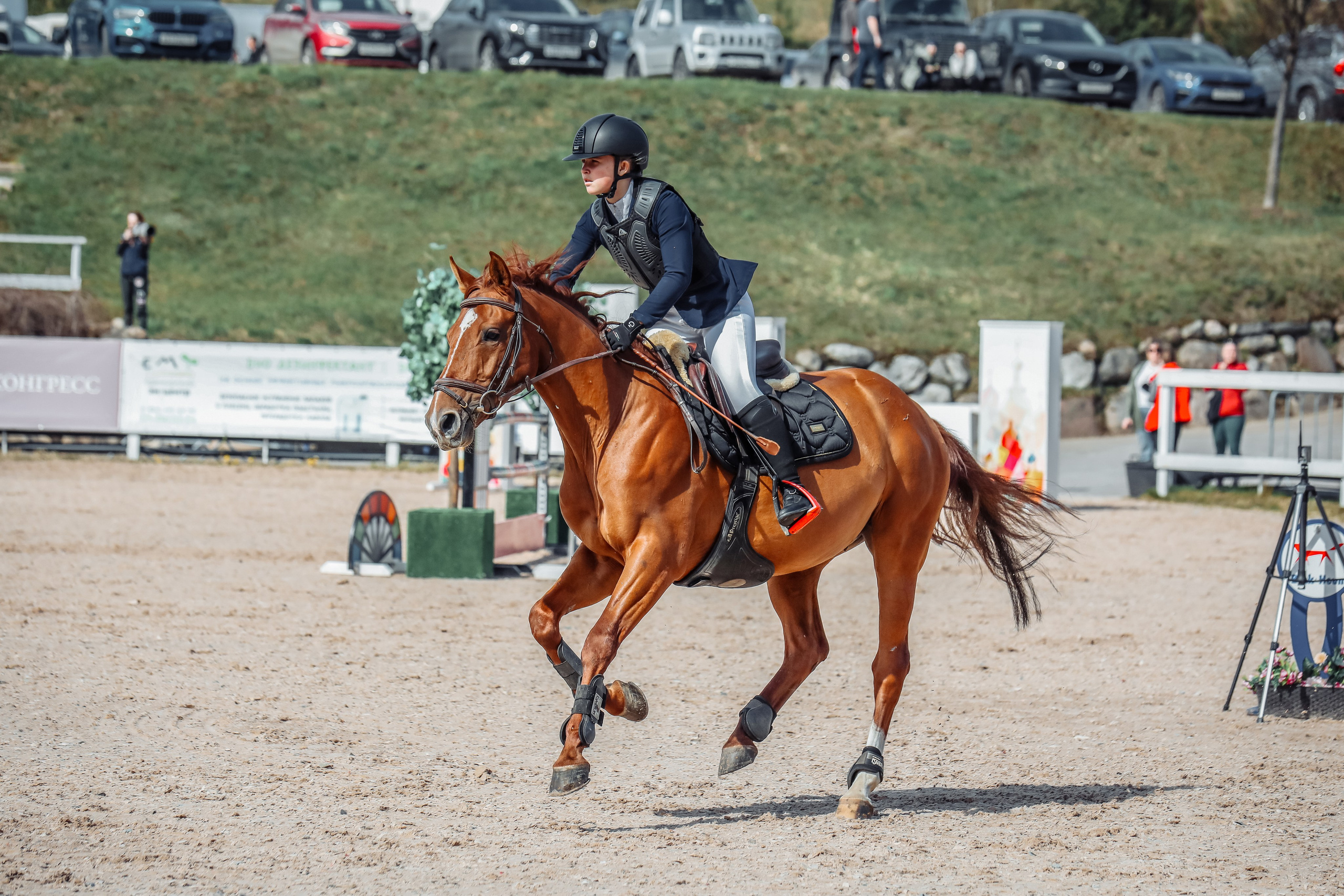 Лошади Евы Демидовой. Ева Демидова. Спортсмен по конкуру в Санкт-Петербуре
