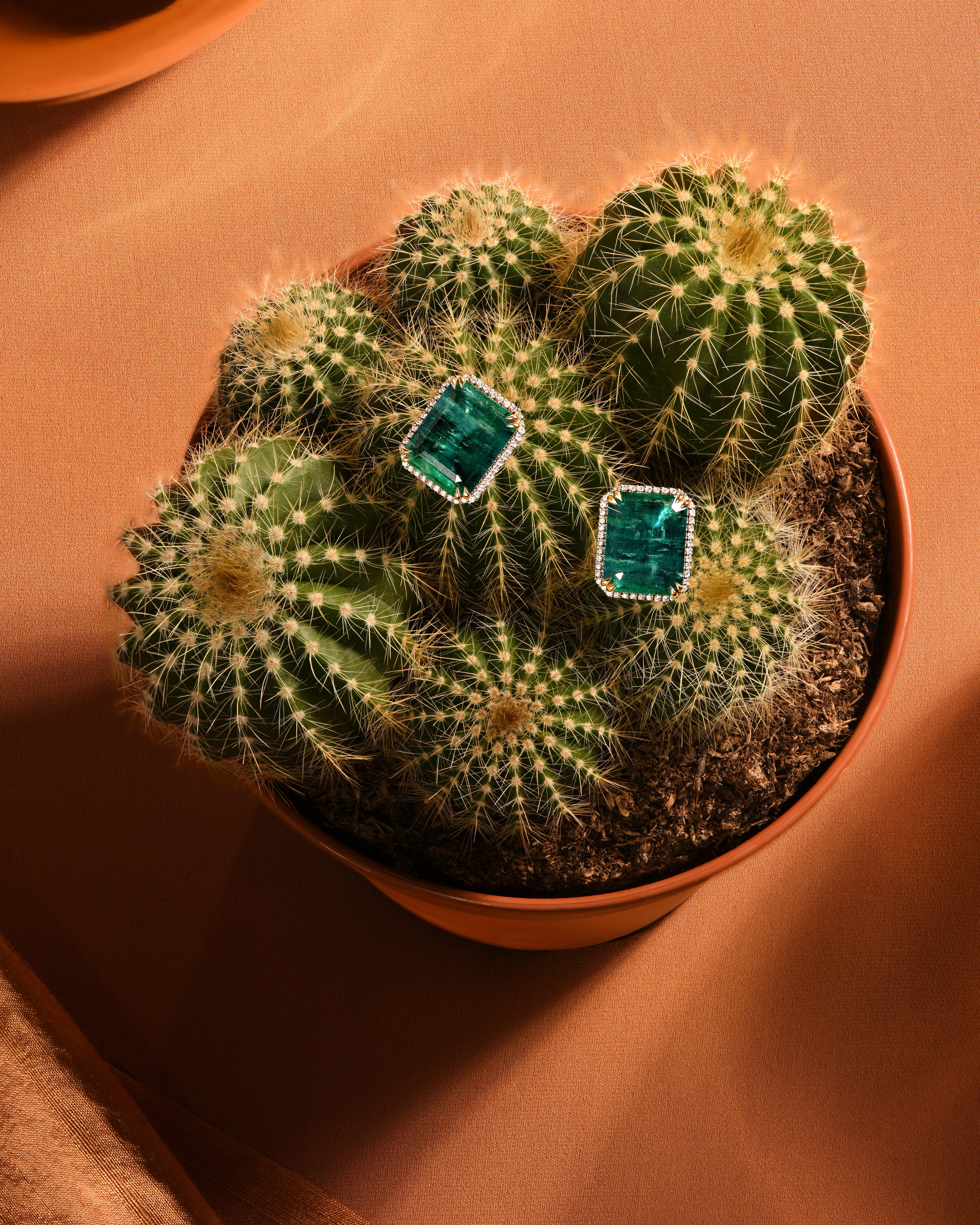 съемка ювелирных изделий цена