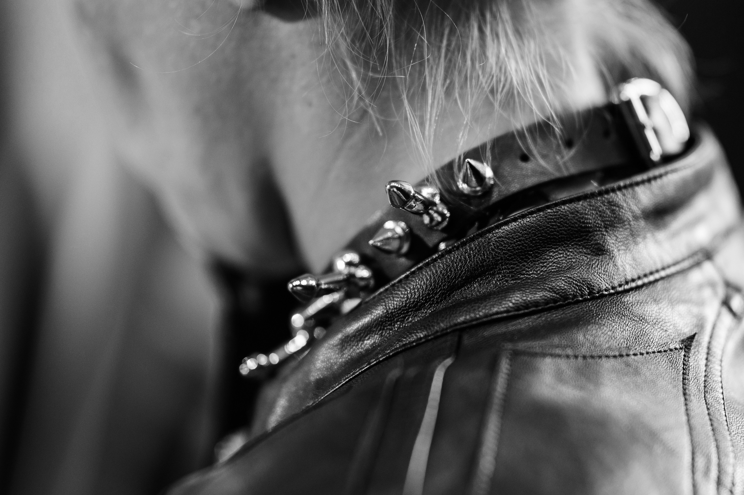 Коста Лакоста, Ольга Серябкина — По улицам. Свадебный фотограф в Москве и по всему Миру Андрей Медведников