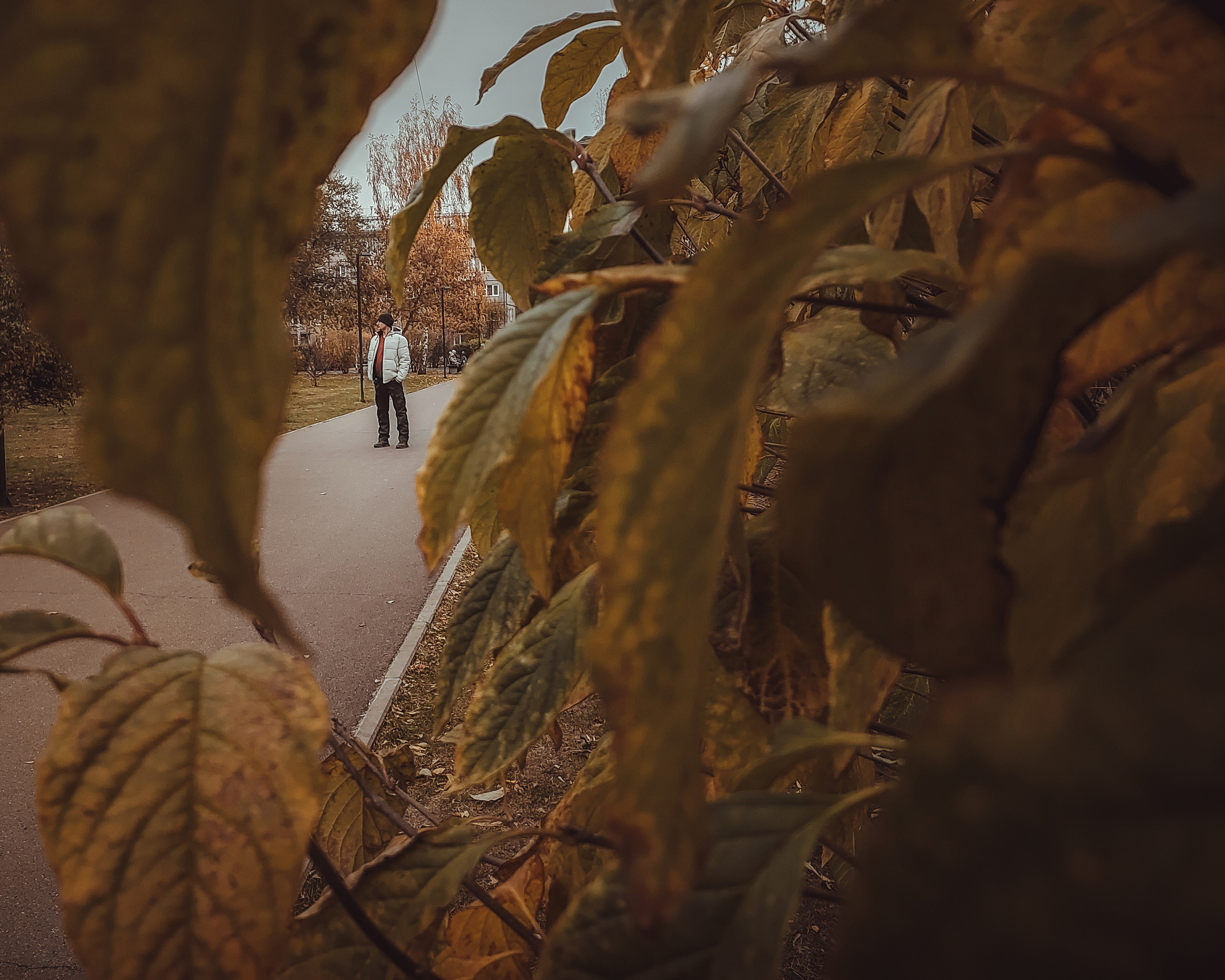 Максим. Фотограф Регина Крикунова г. Красноярск