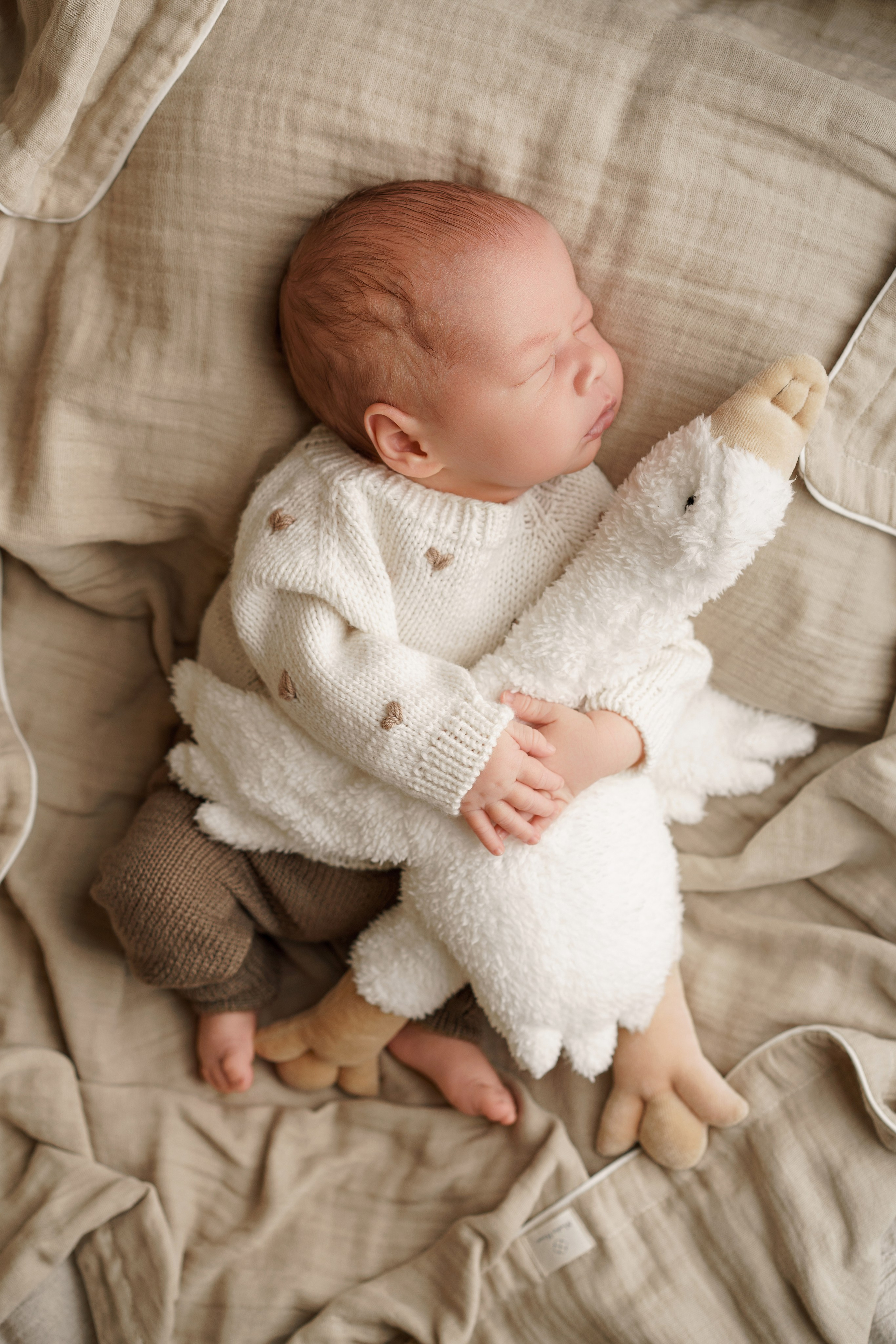 Фотосессия новорожденных | Галерея трогательных кадров малышей в стиле newborn. Фотосессия новорожденных в Москве и Московской области | Профессиональный фотограф newborn — Татьяна Иванова