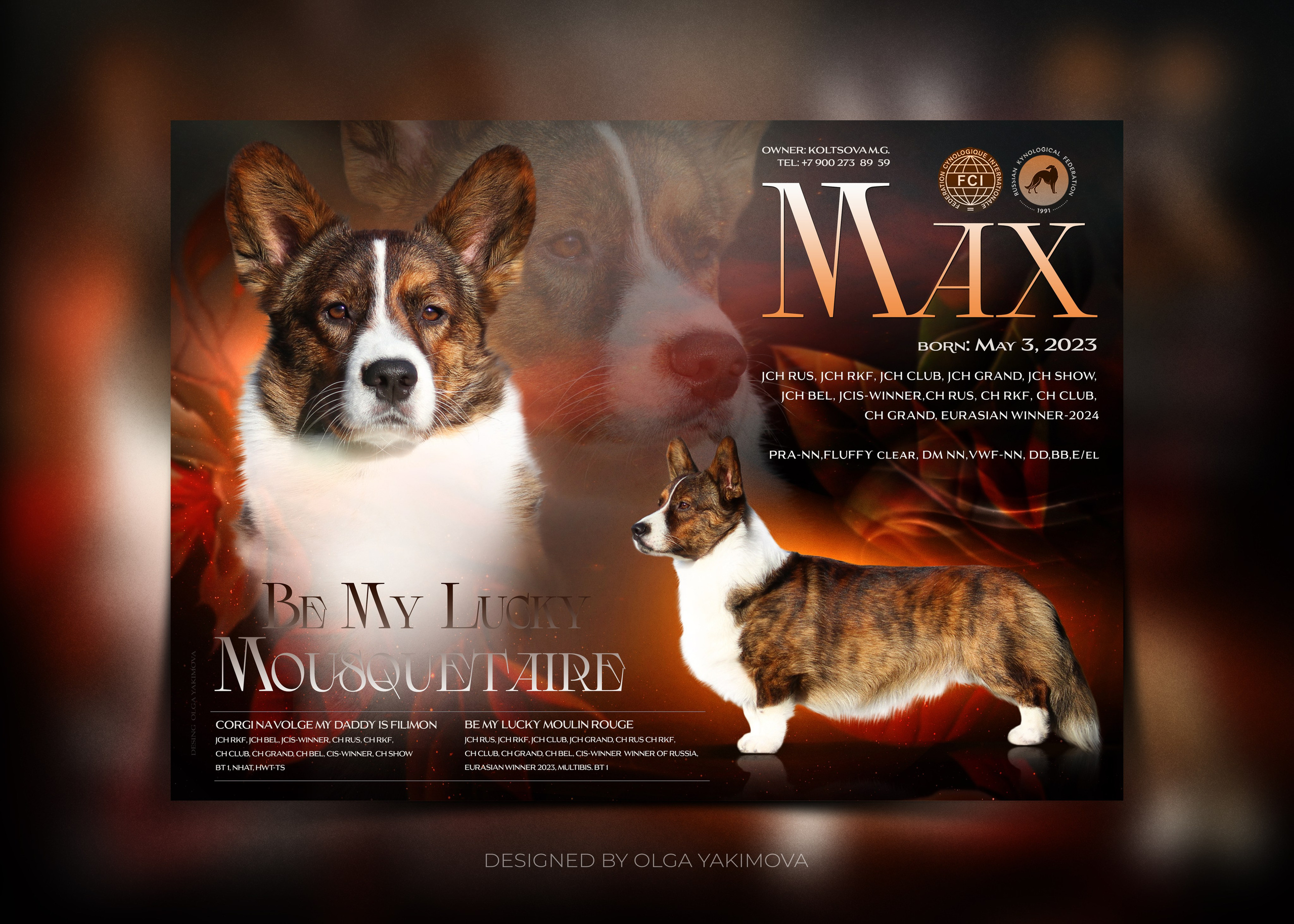 Animal presentation. Фотограф