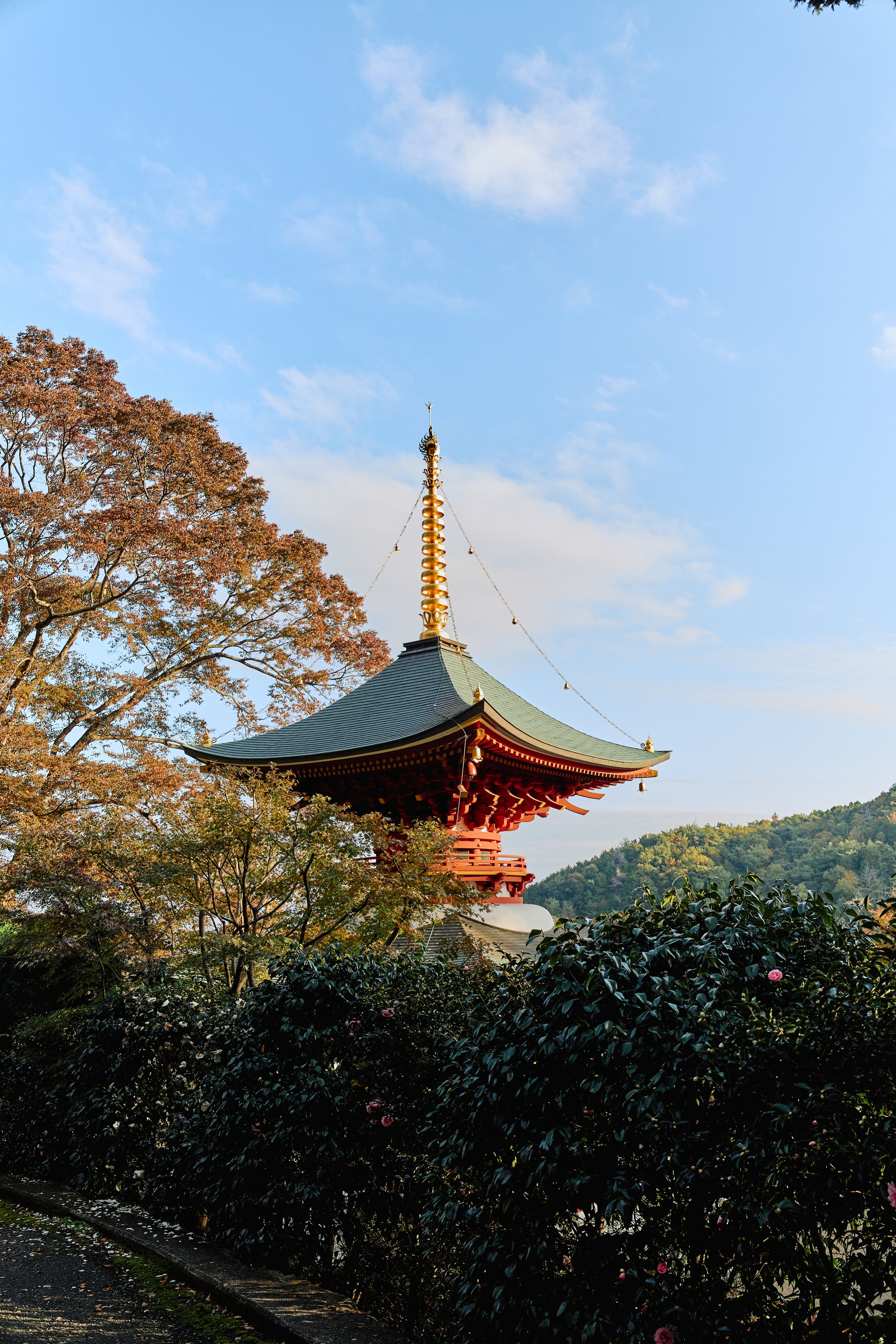 Япония. Профессиональный Фотограф во Владимире, в Москве и в Суздале — Полина Романычева