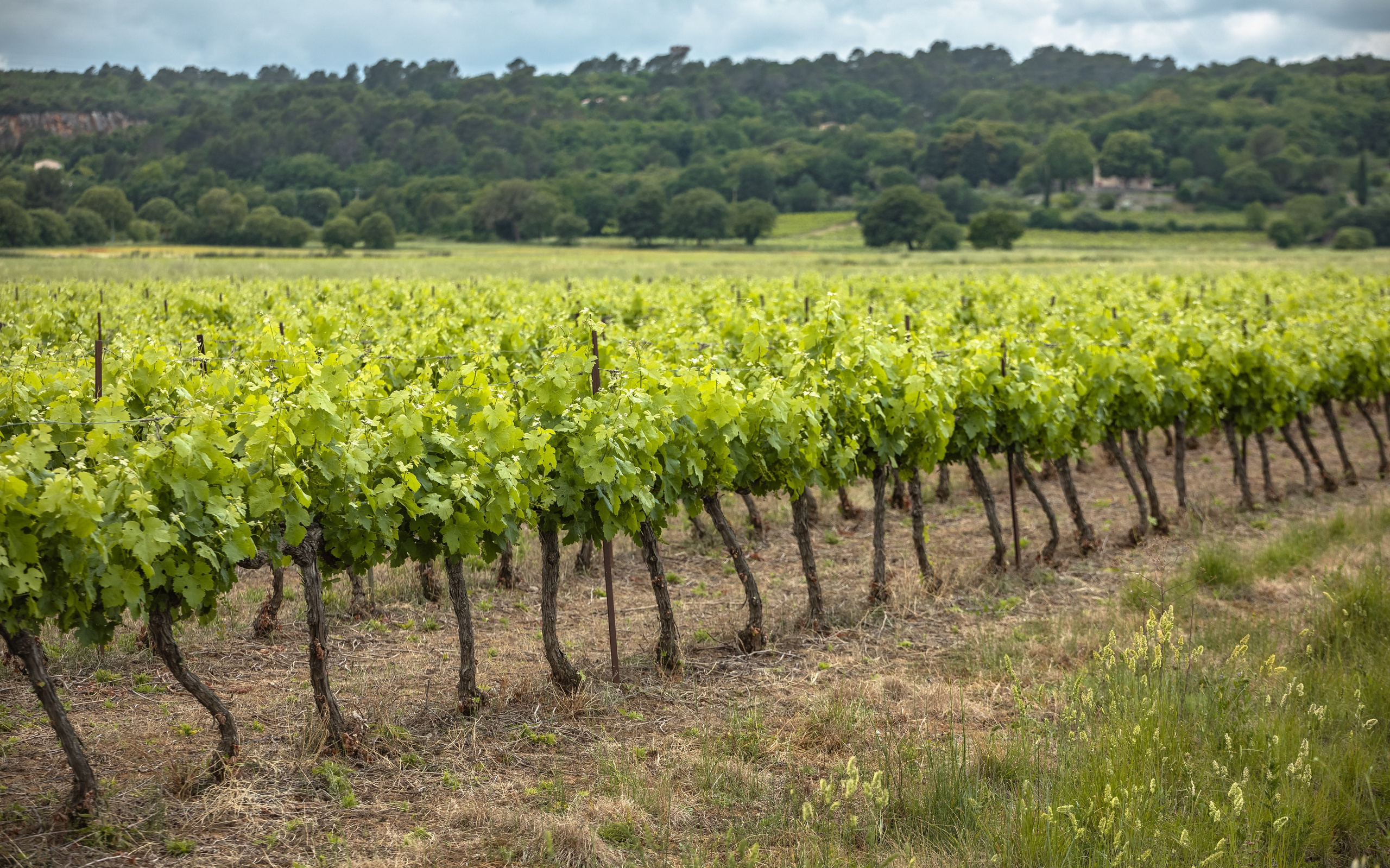 TRAVEL&NATURE. NE Cinema — backstage and reportage photography in cinema, music, Automotive and sport