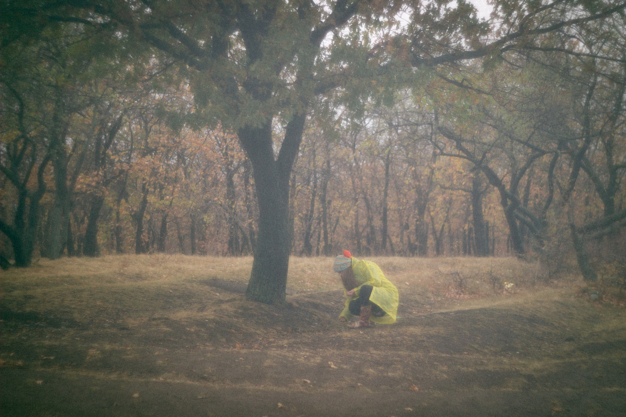 Туманная осень. • Фотограф Александра Светозар Алчевск •