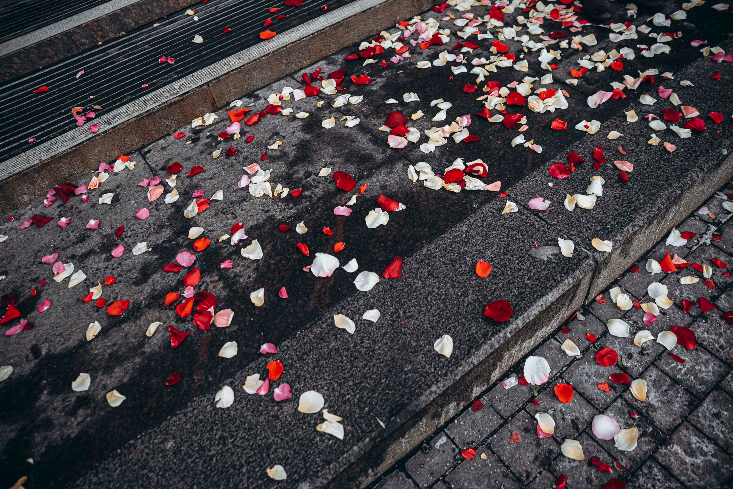 Свадебная серия фотографий в Санкт Петербурге Анастасии и Максима