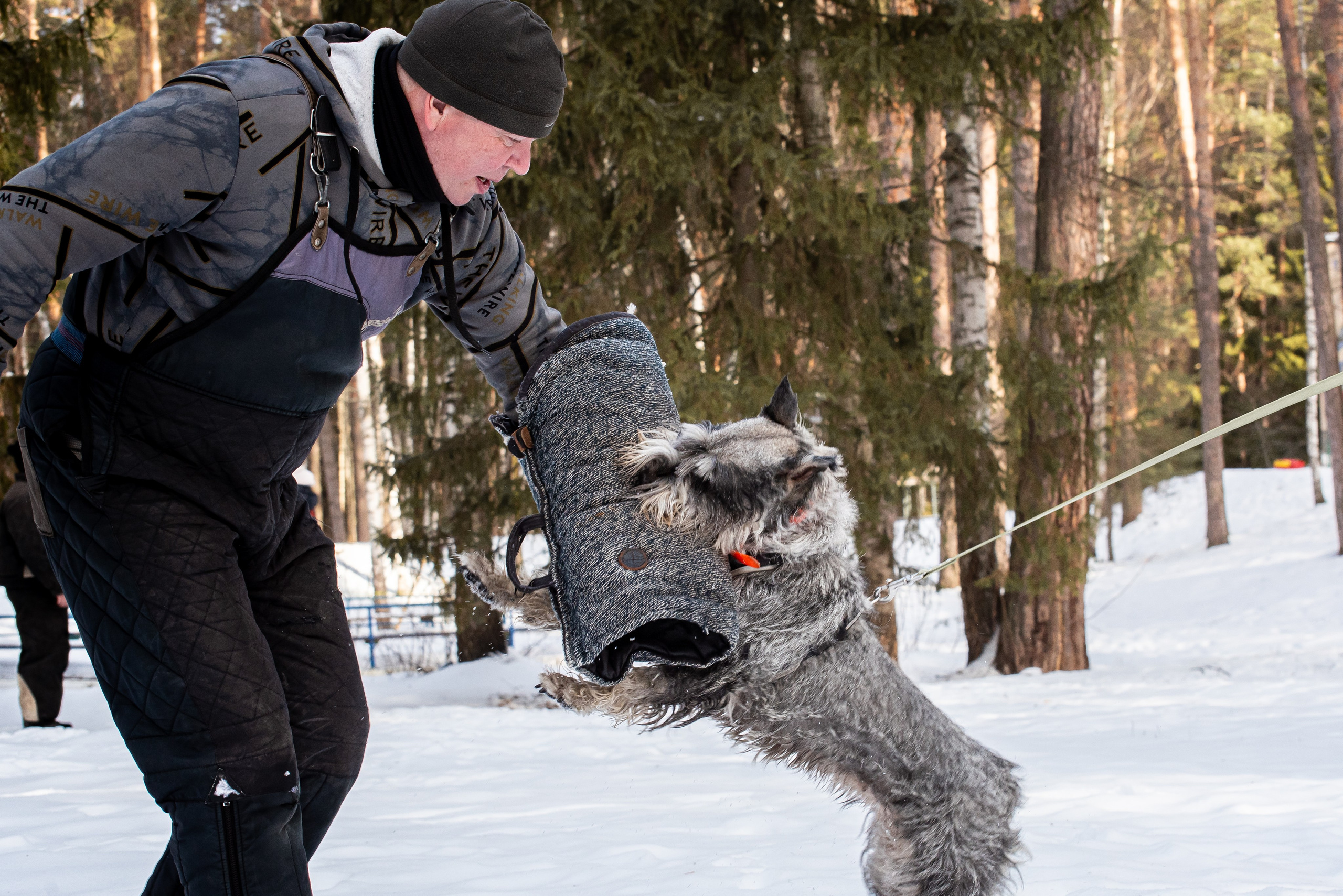 Фотосъёмка с собаками в Кинологическом лагере. Фотограф Макс Огурцов в Нижнем Новгороде