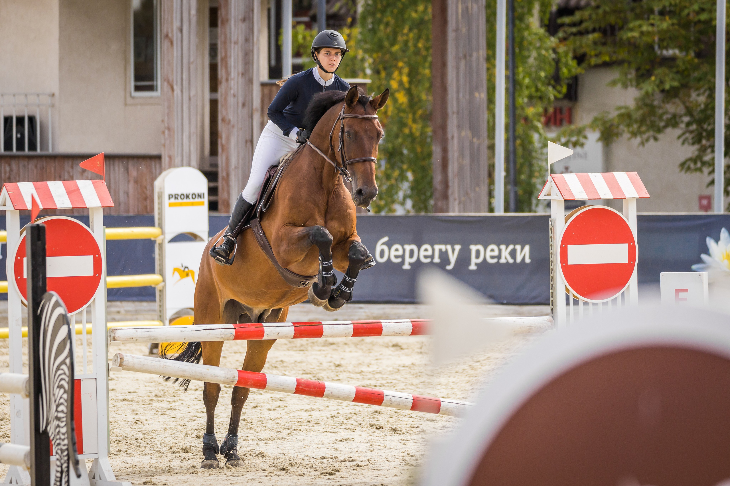 Конный спорт. Photomantis