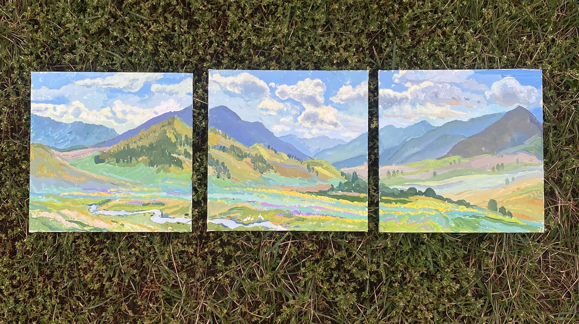 Пейзажи. Донбай Василиса художник