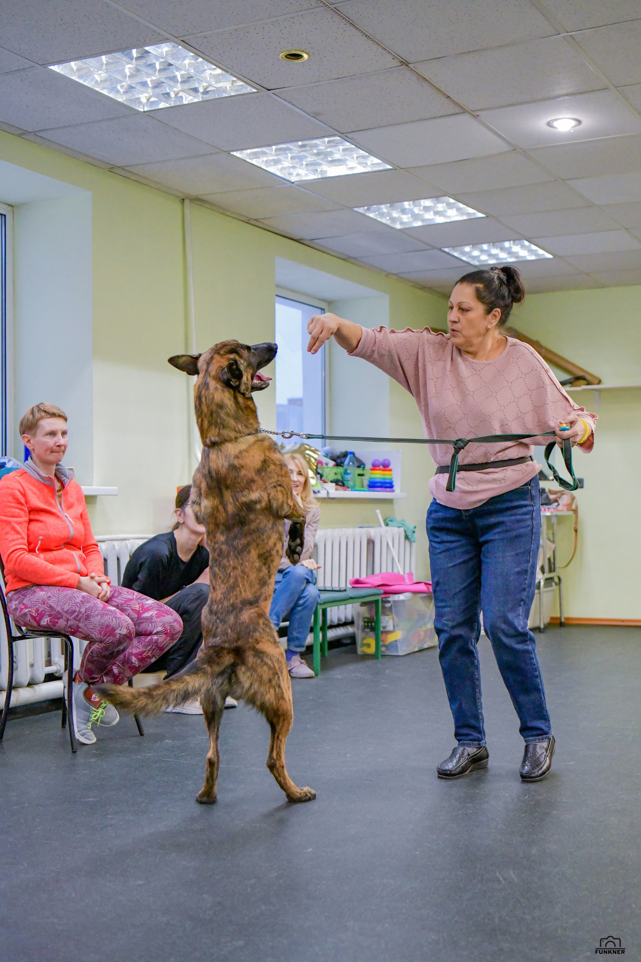 Кинологический клуб «Бодрый хвост». Свой взгляд через объектив