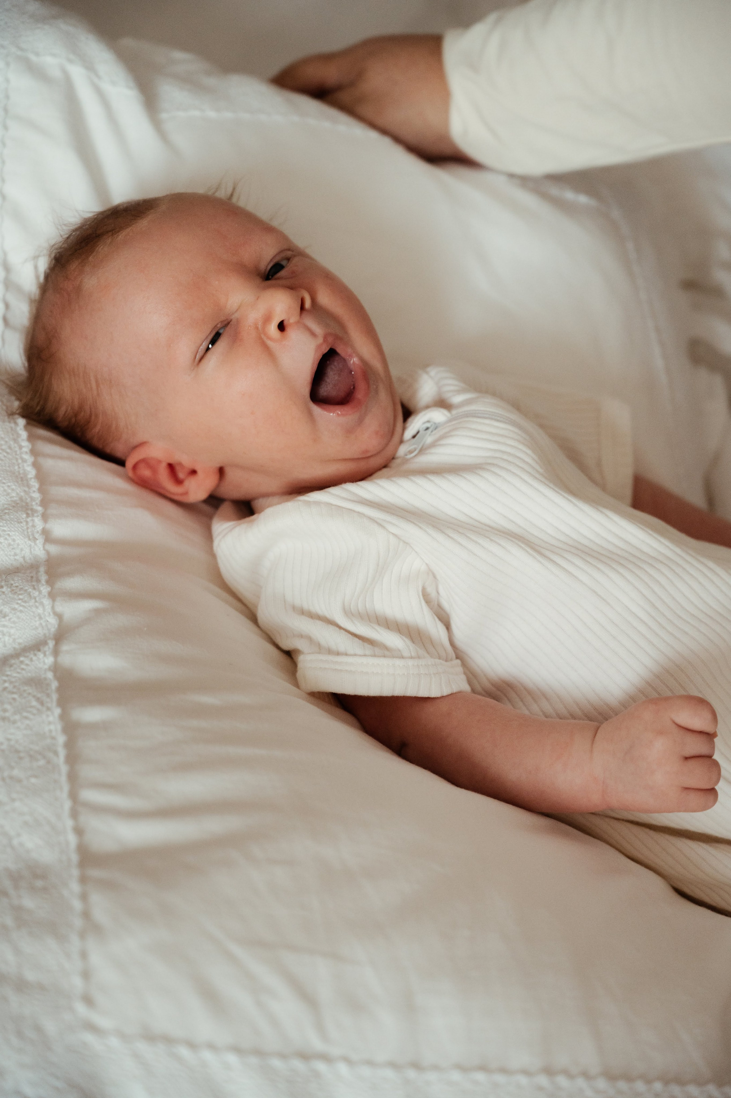Елена. Профессиональный фотограф беременности в СПБ. Стильные фотосессии беременности в стиле минимализм и классическая фотография