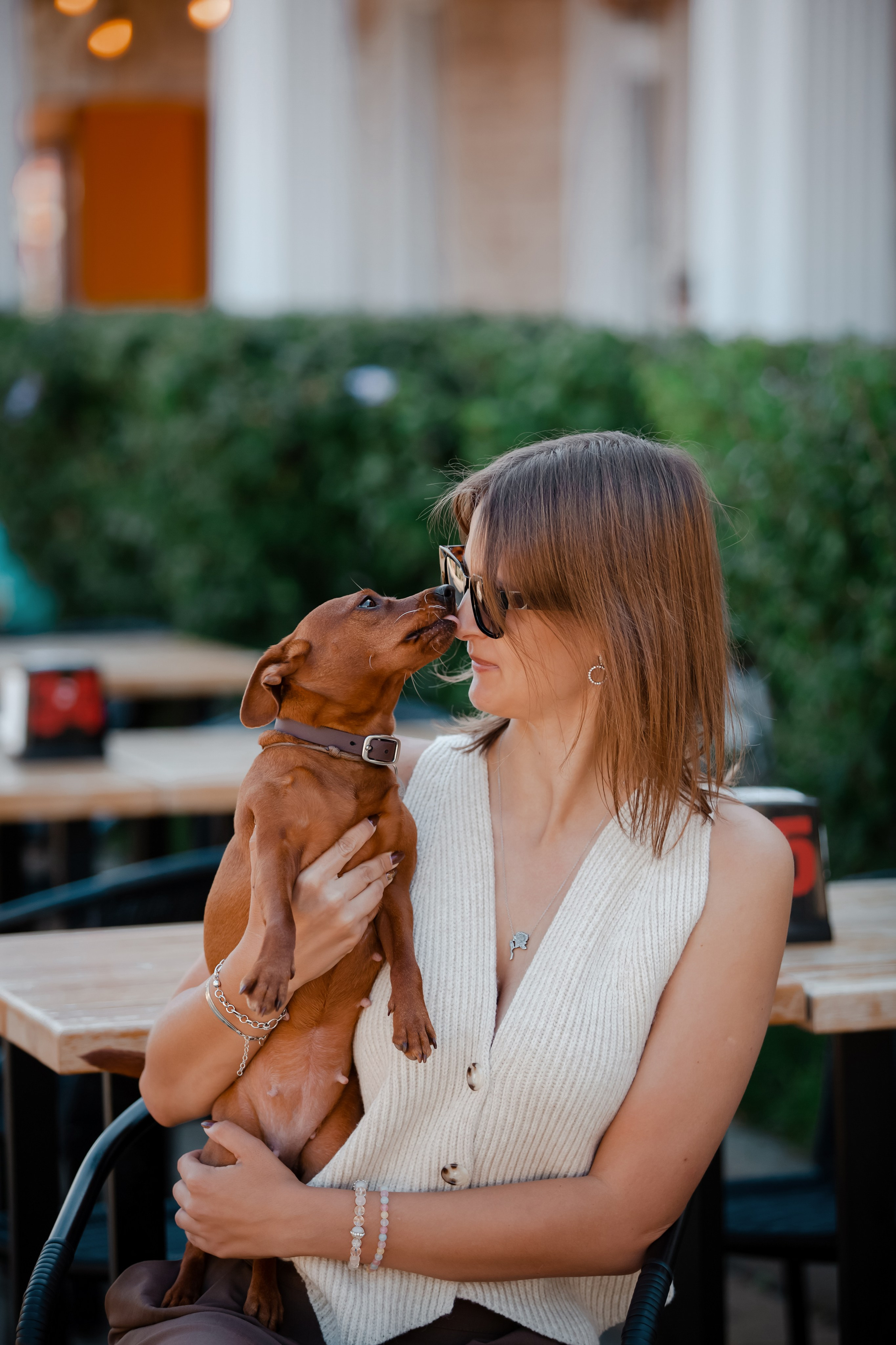 Цвергпинчер в Геленджике. Фотограф-анималист в Краснодаре Маша Мельникова