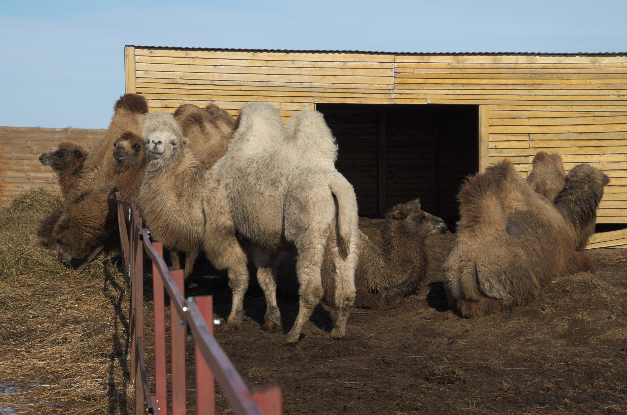 Казань | 24-26.03.2017. Галерея Фантим