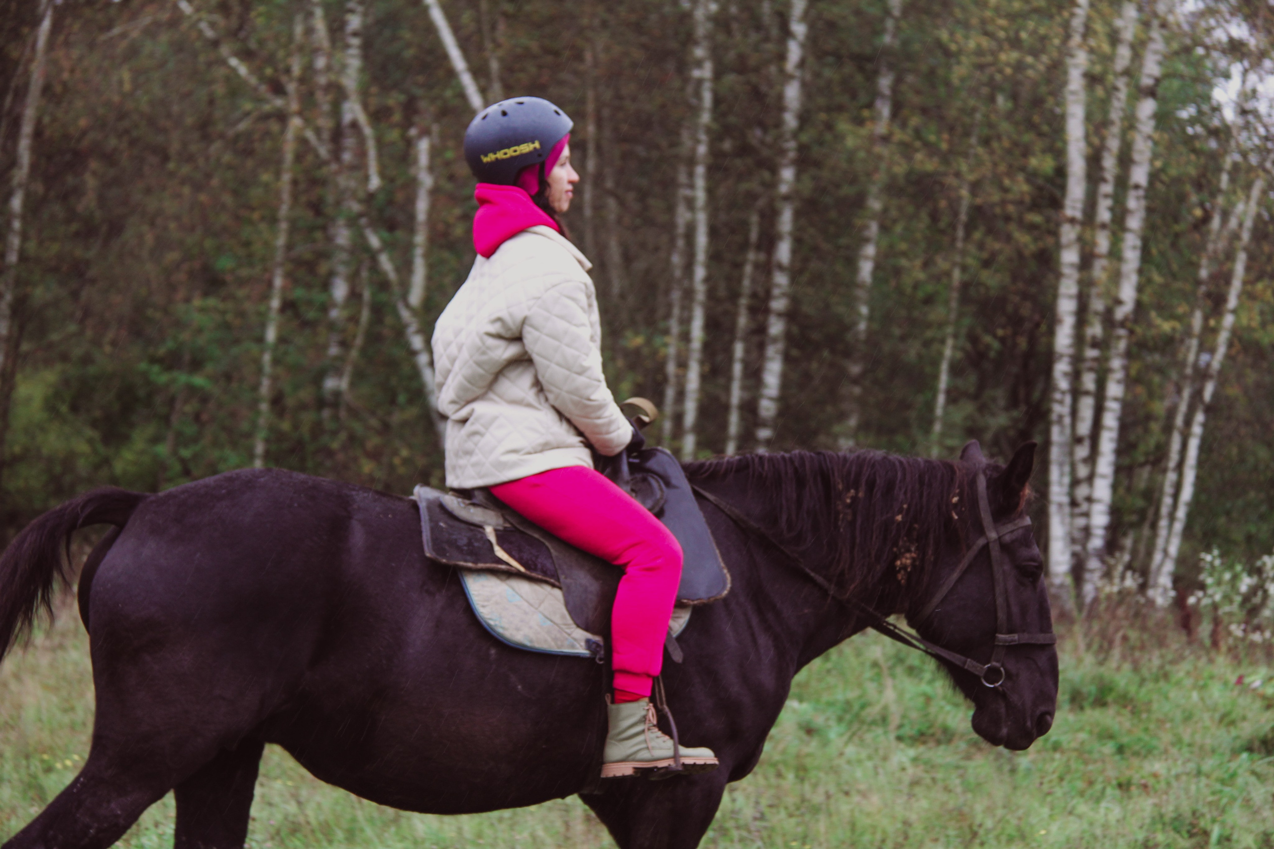 Лошадинг | 27.09.2025. Галерея Фантим
