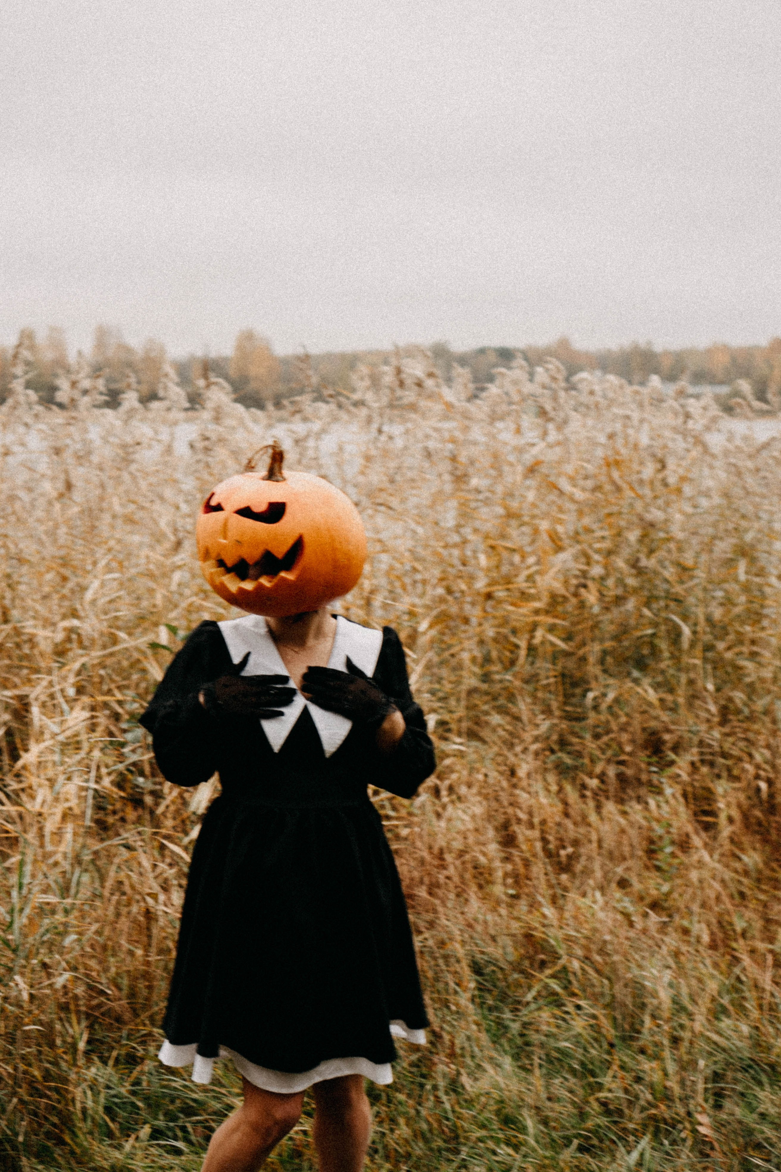 Осеняя. Профессиональный фотограф, Санкт-Петербург — Виктория Богомолова