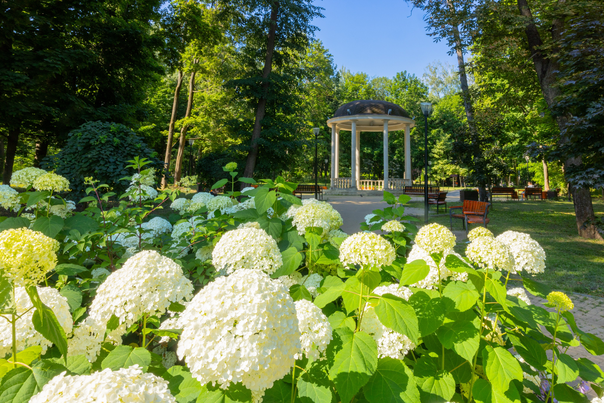 Парк им. П. П. Белоусова г. Тула 2024 г. Фотограф в Туле Крупский АнДРей. Фотостудия «КАДР71» в Туле