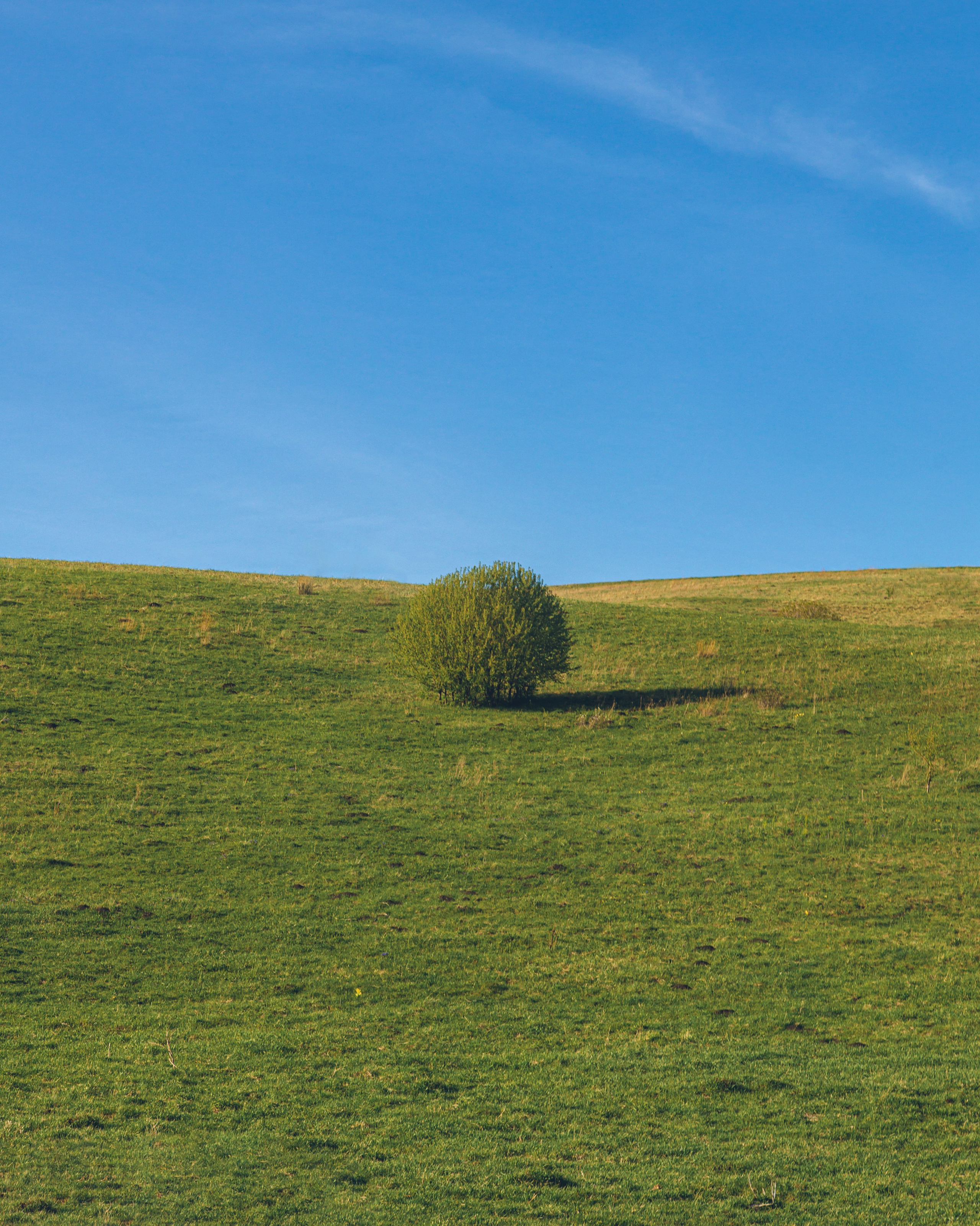 Алтай (май 2024). Фотограф ваших событий в Красноярске — Макс Захарченко