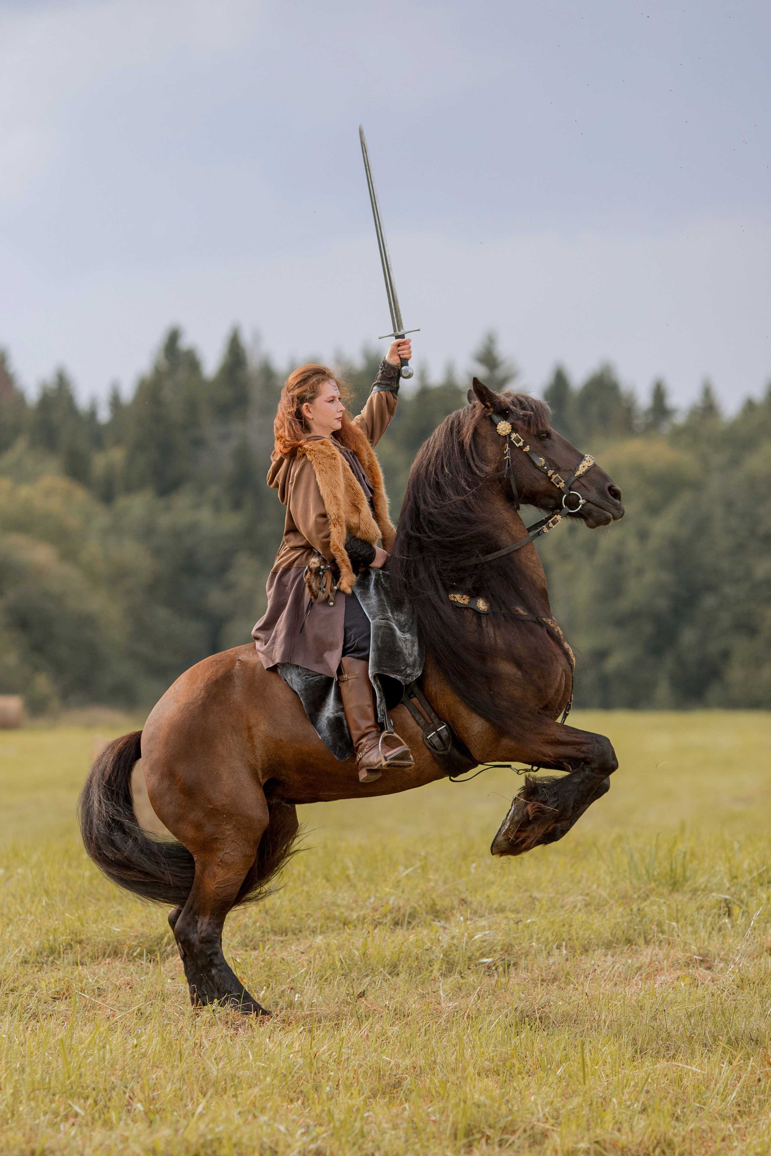 Фотосессия с лошадью в стиле викингов